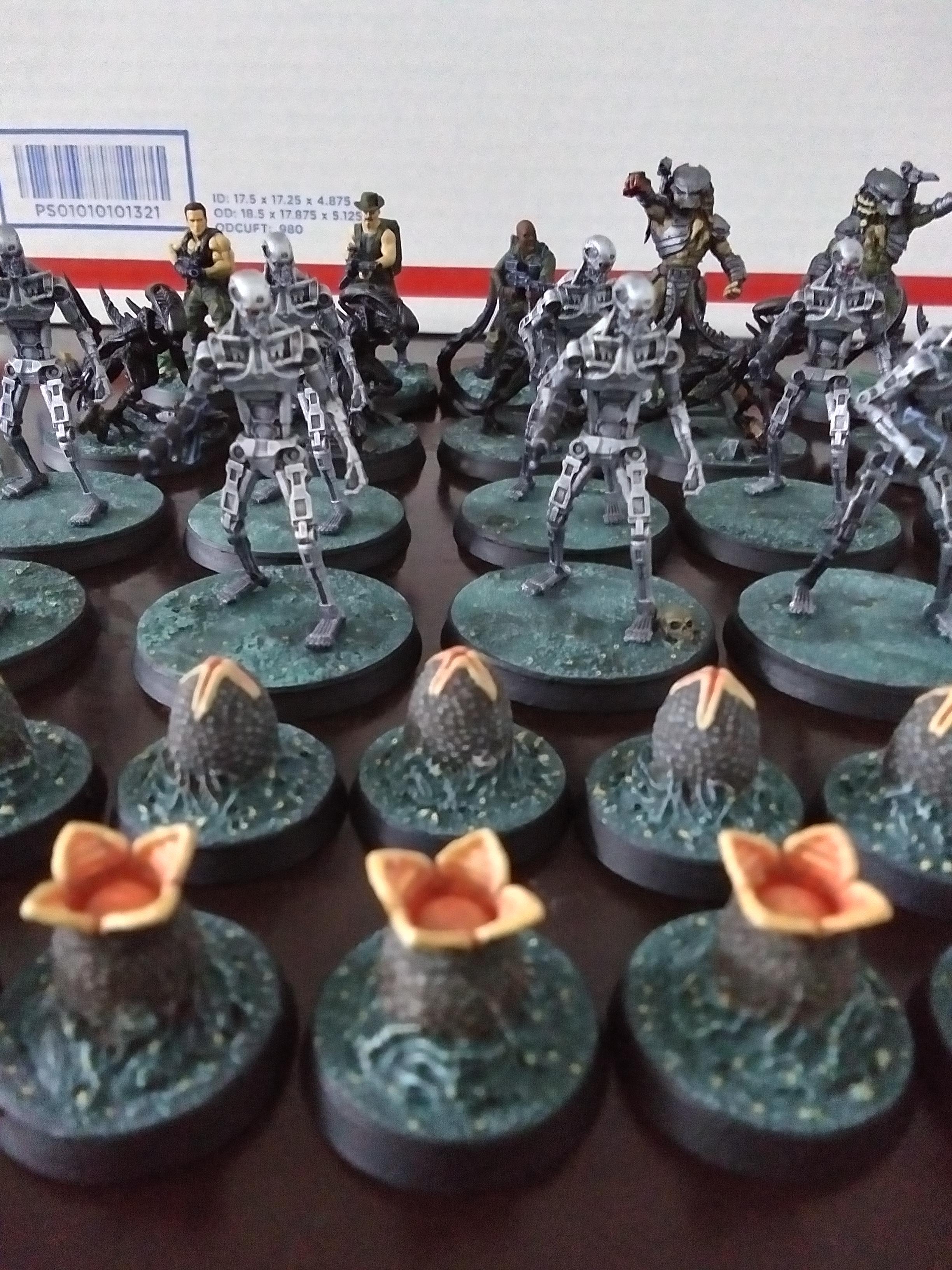 avp