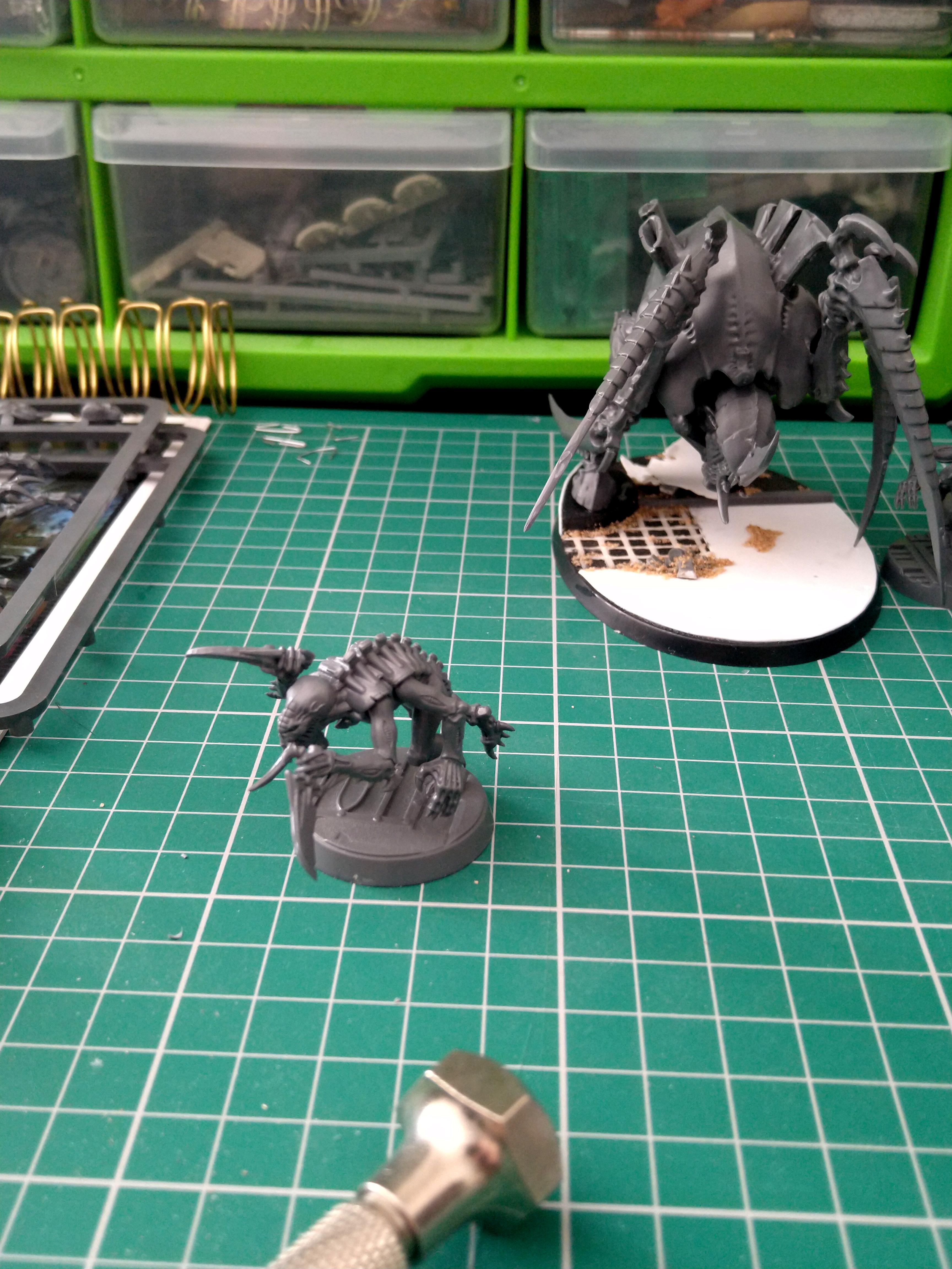 Acid Maw, Genestealer, Tyranids