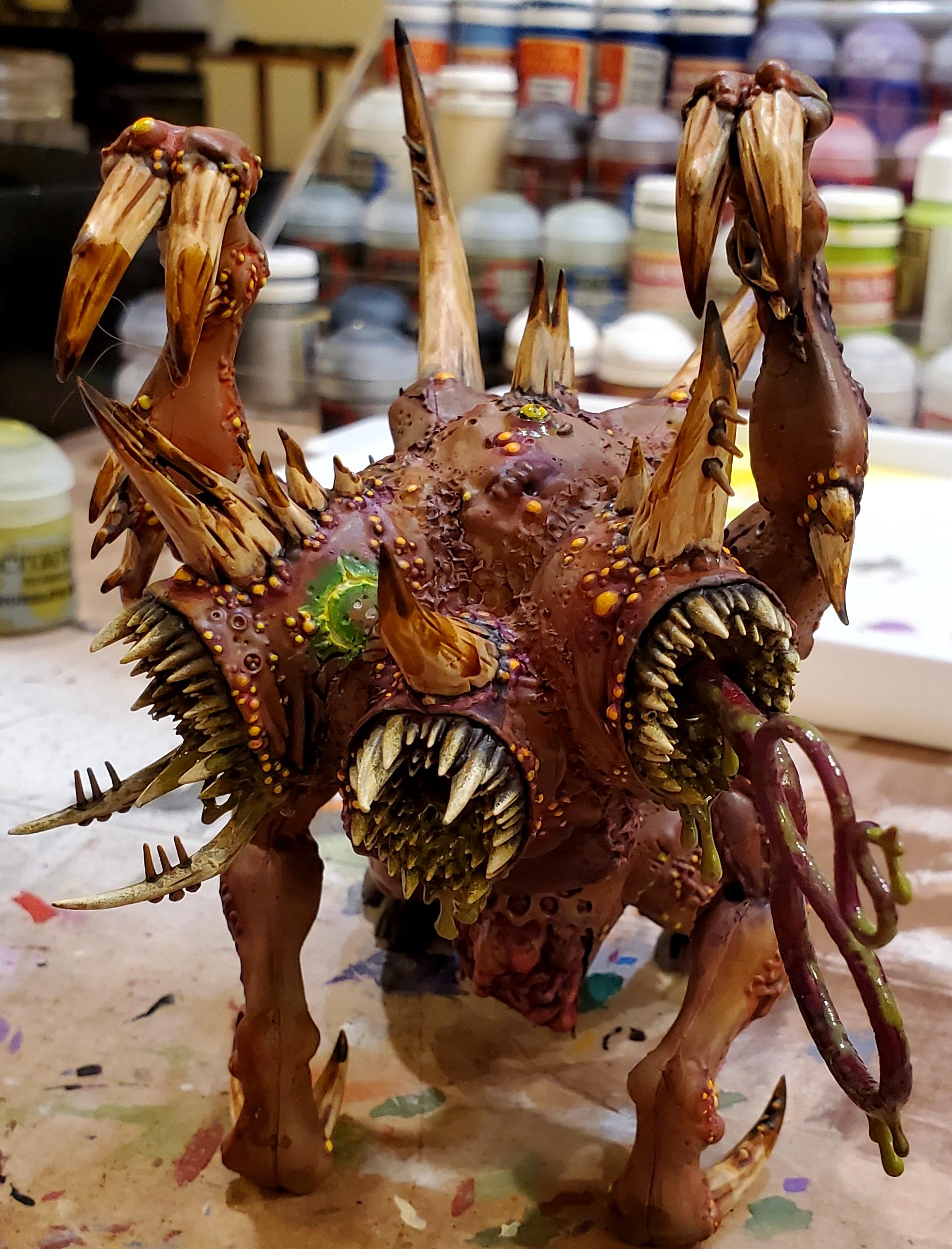Cerberpus