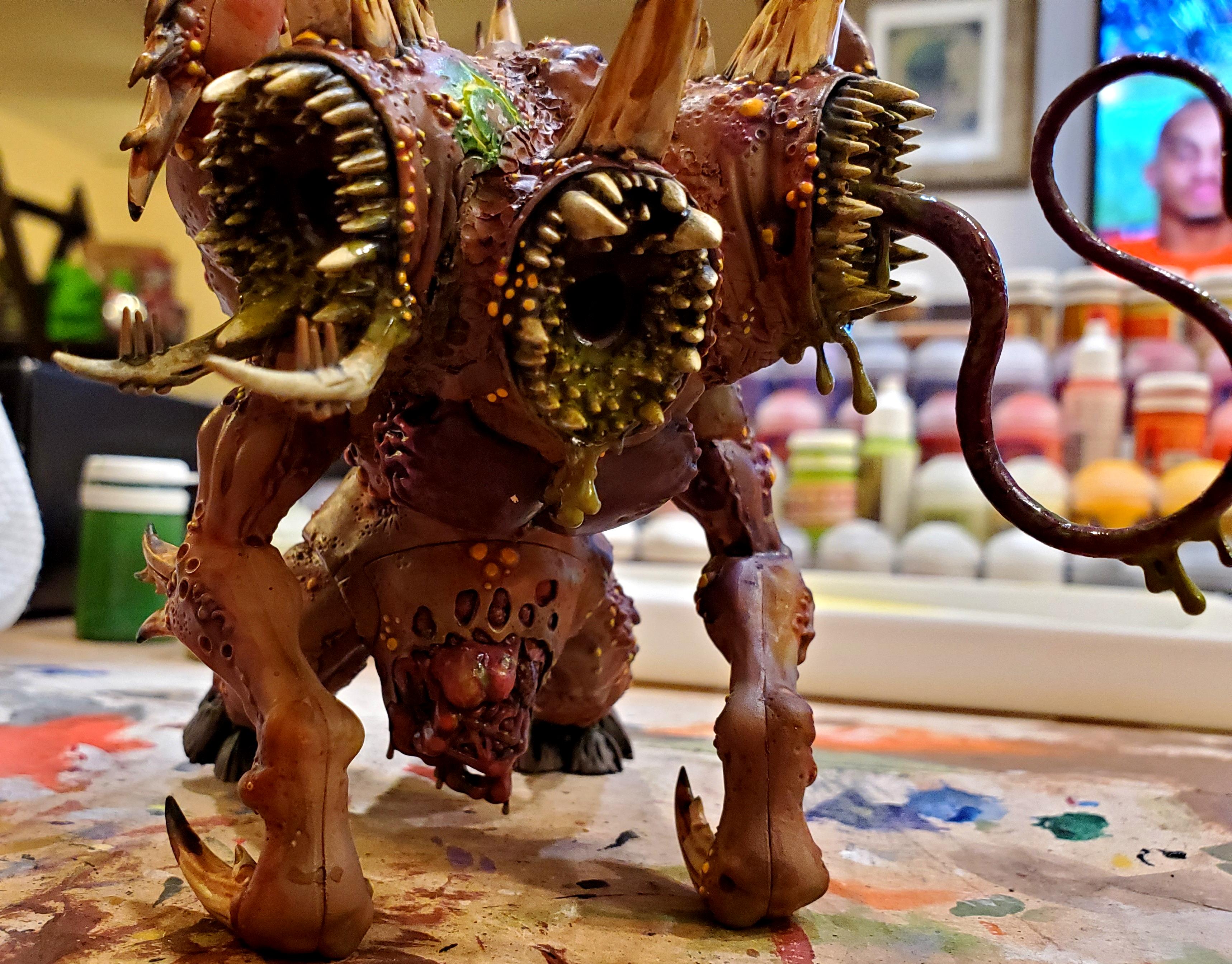 Cerberpus