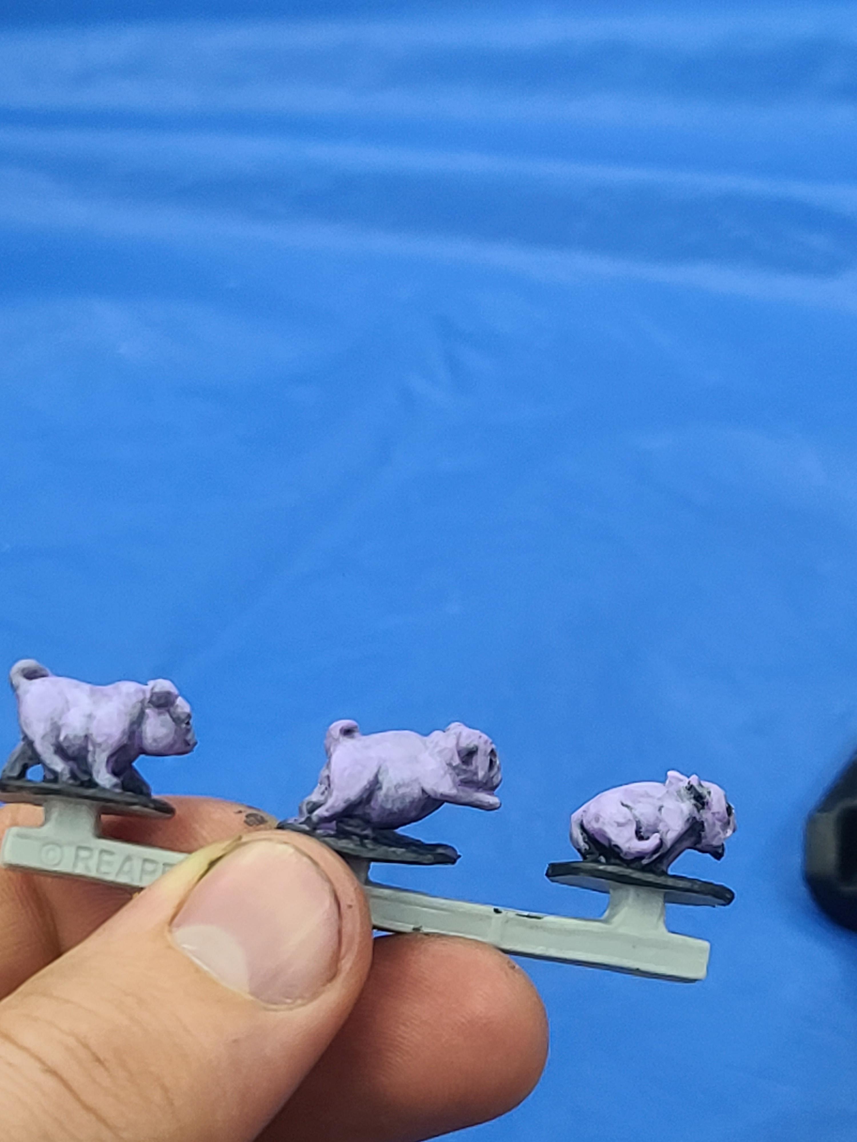Bones, Bones Usa, Pugs, Reaper Miniatures, War Pug
