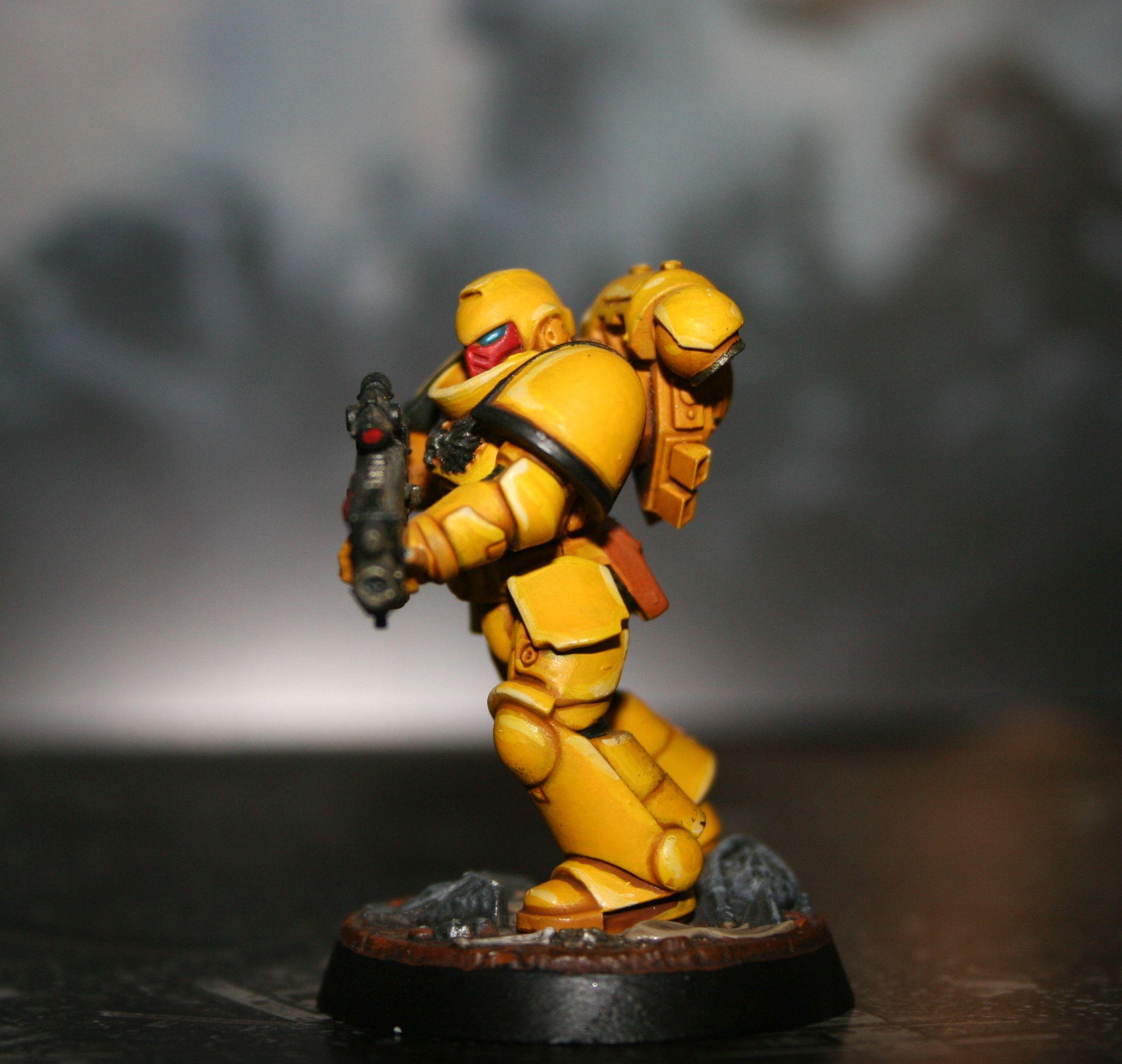 1st Imperial Fist