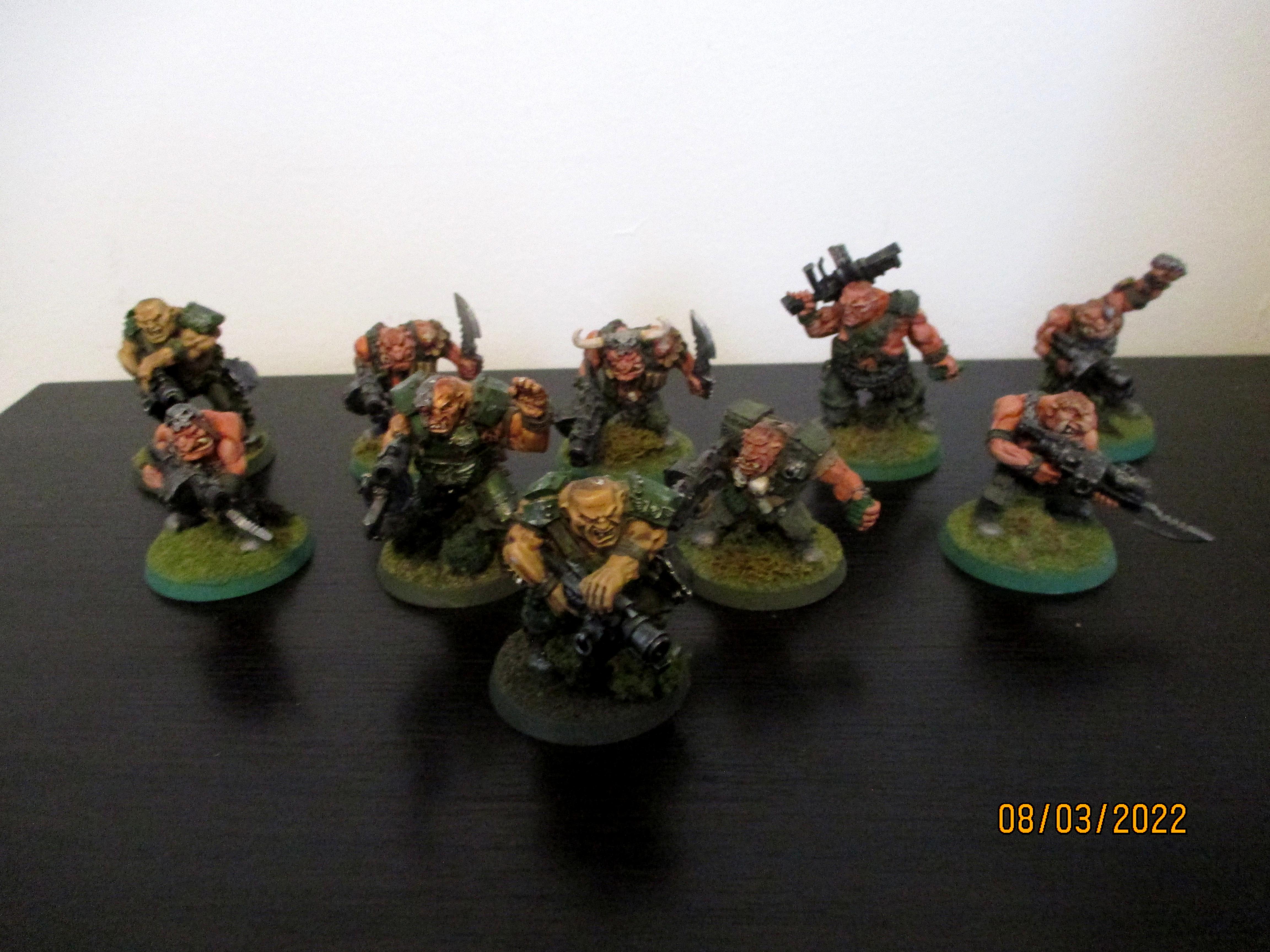 Imperial Guard, Ogryns, Warhammer 40,000