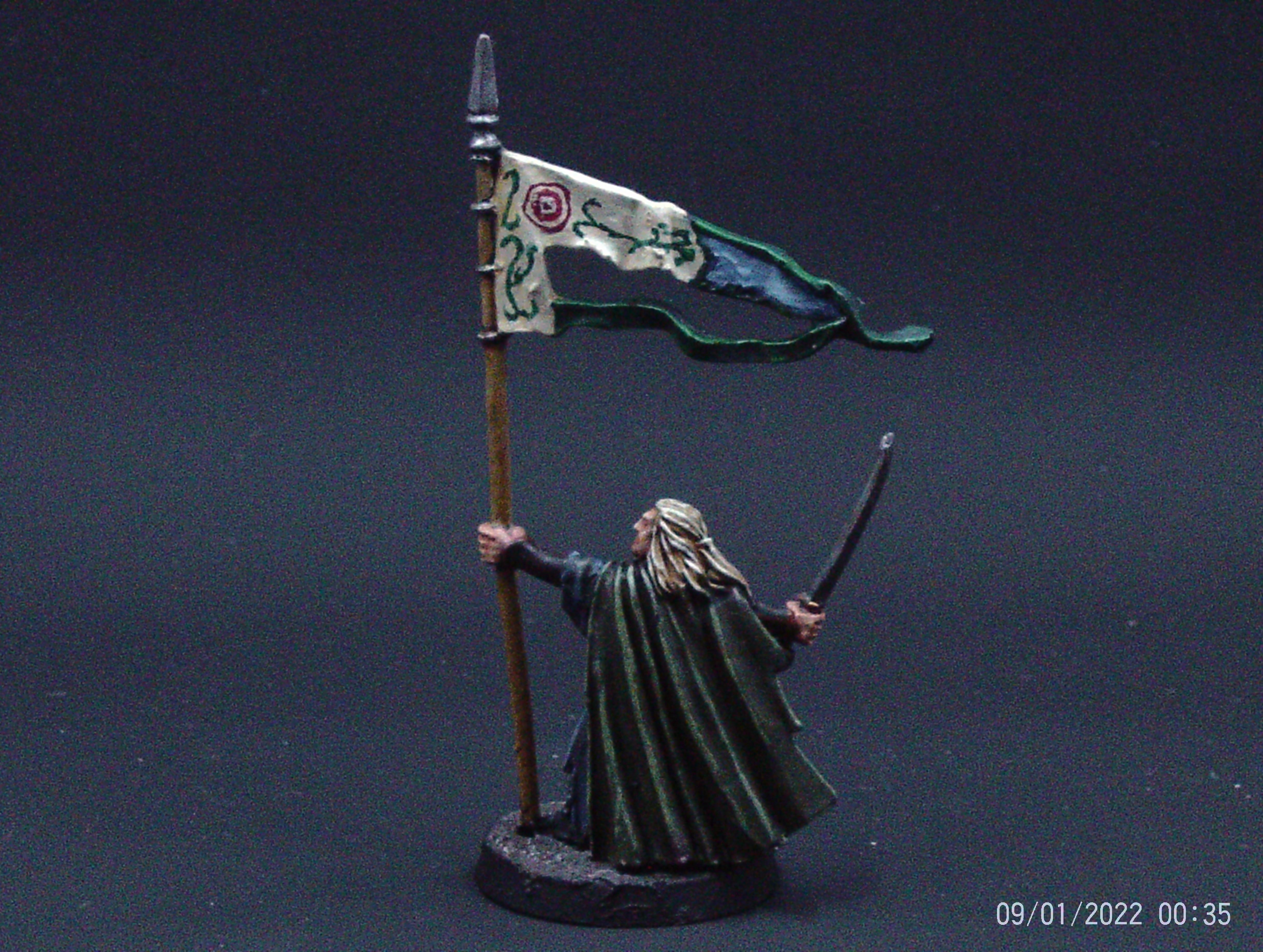 Wood Elf Banner Bearer Rear