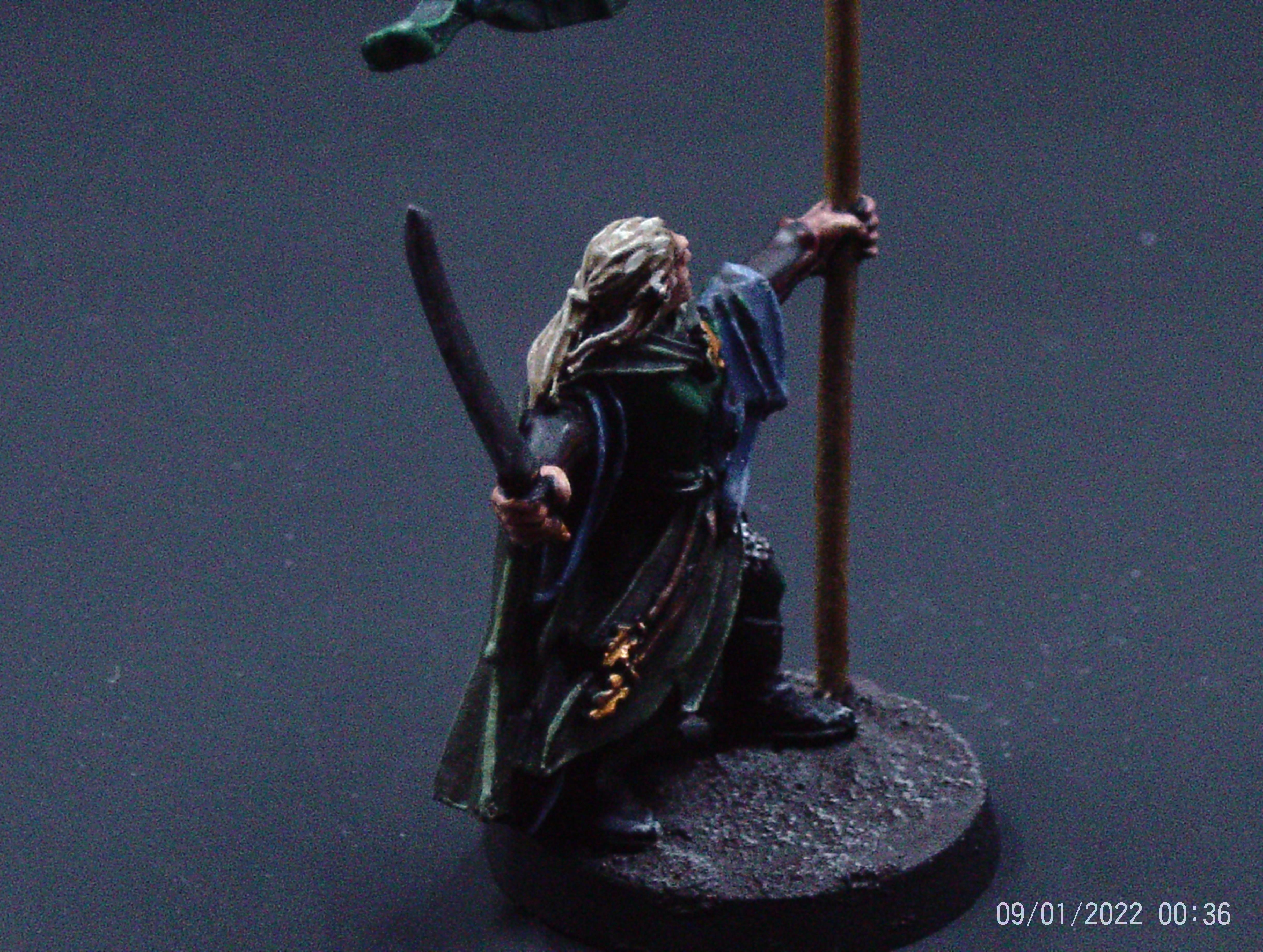 Wood Elf Banner Bearer Side