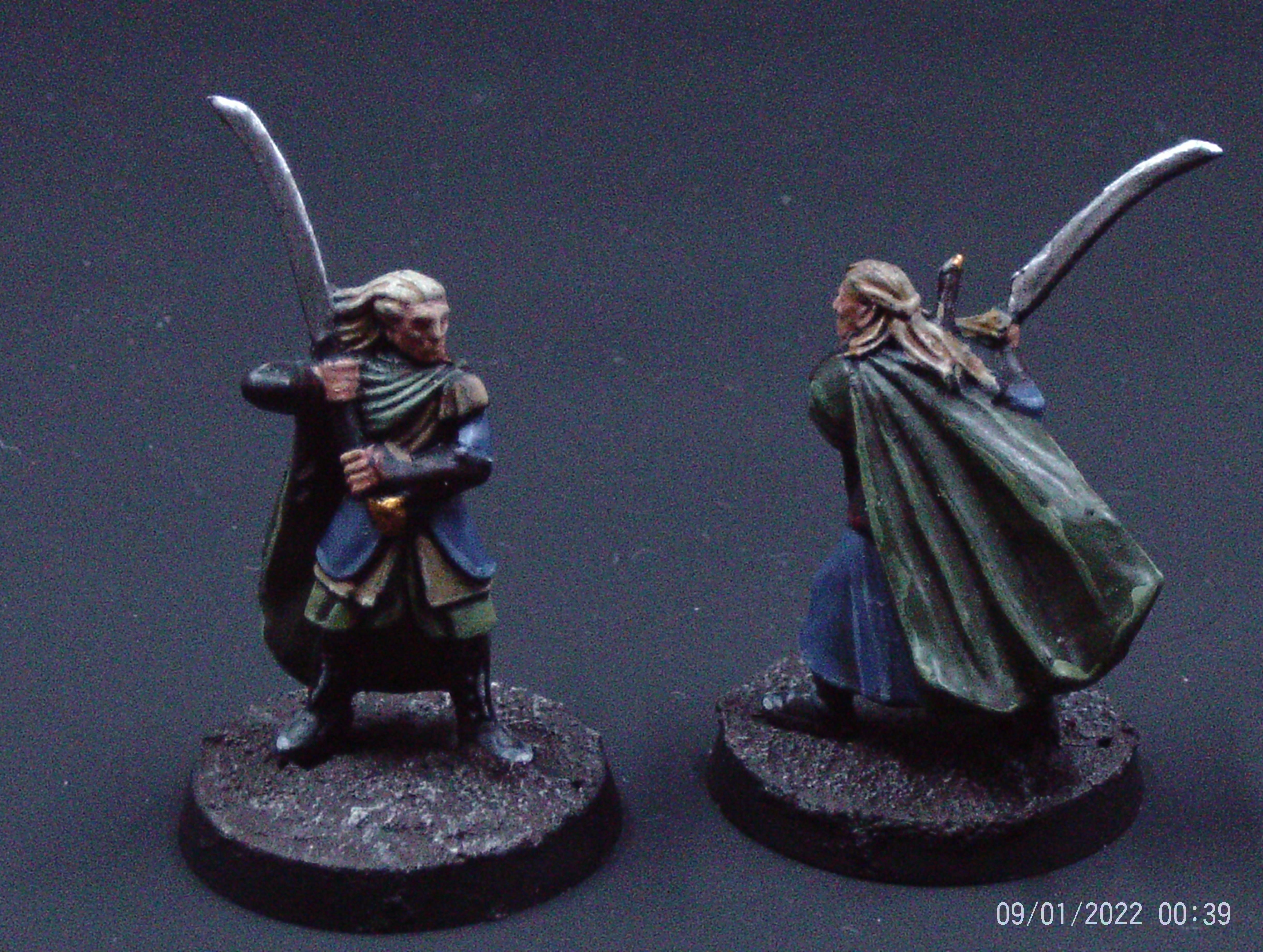 Wood Elves Front and Back