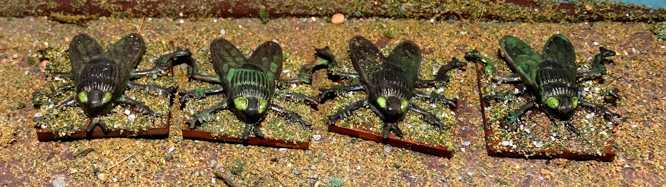 Flies