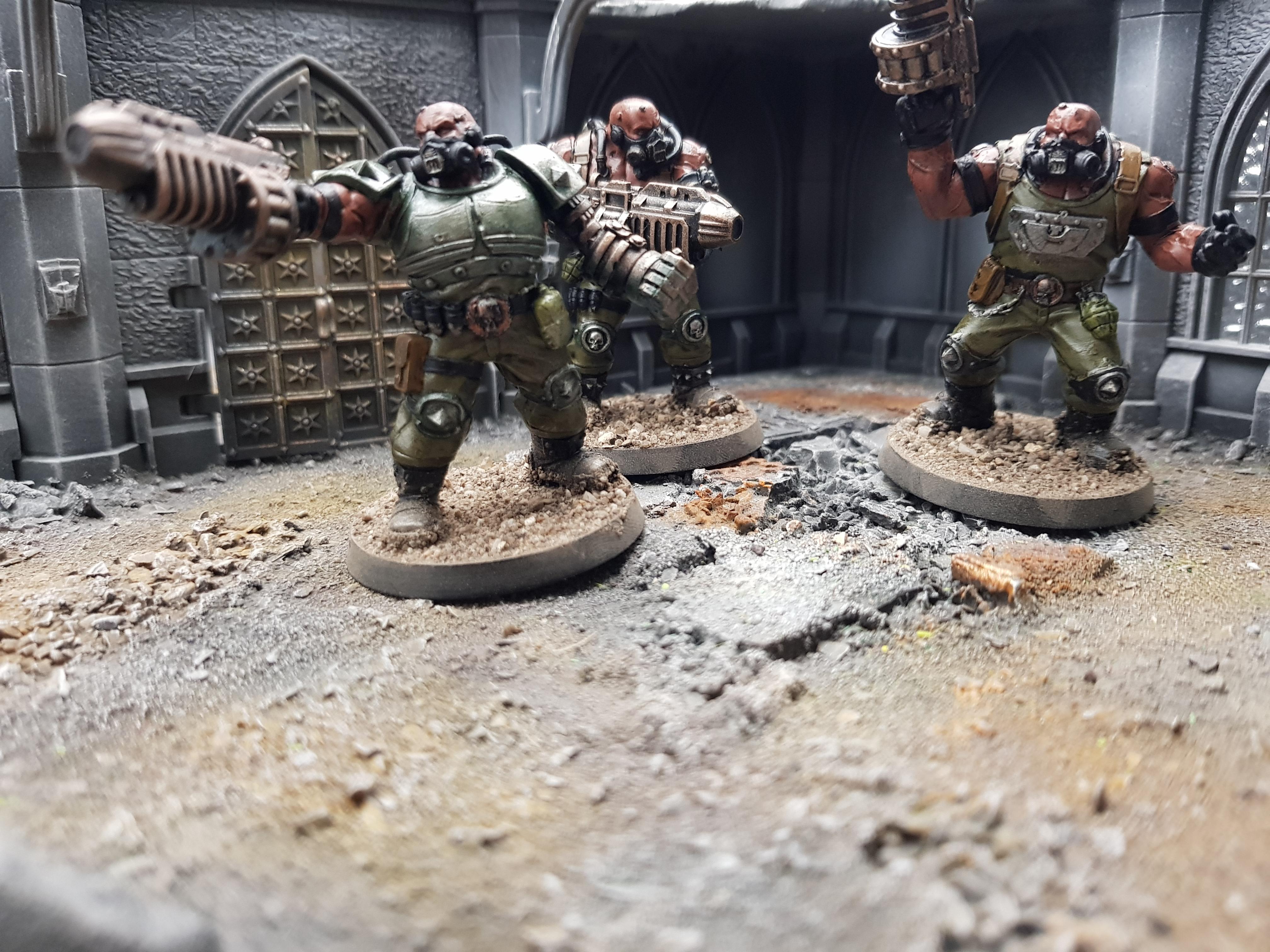 Ogryns, Ogryns