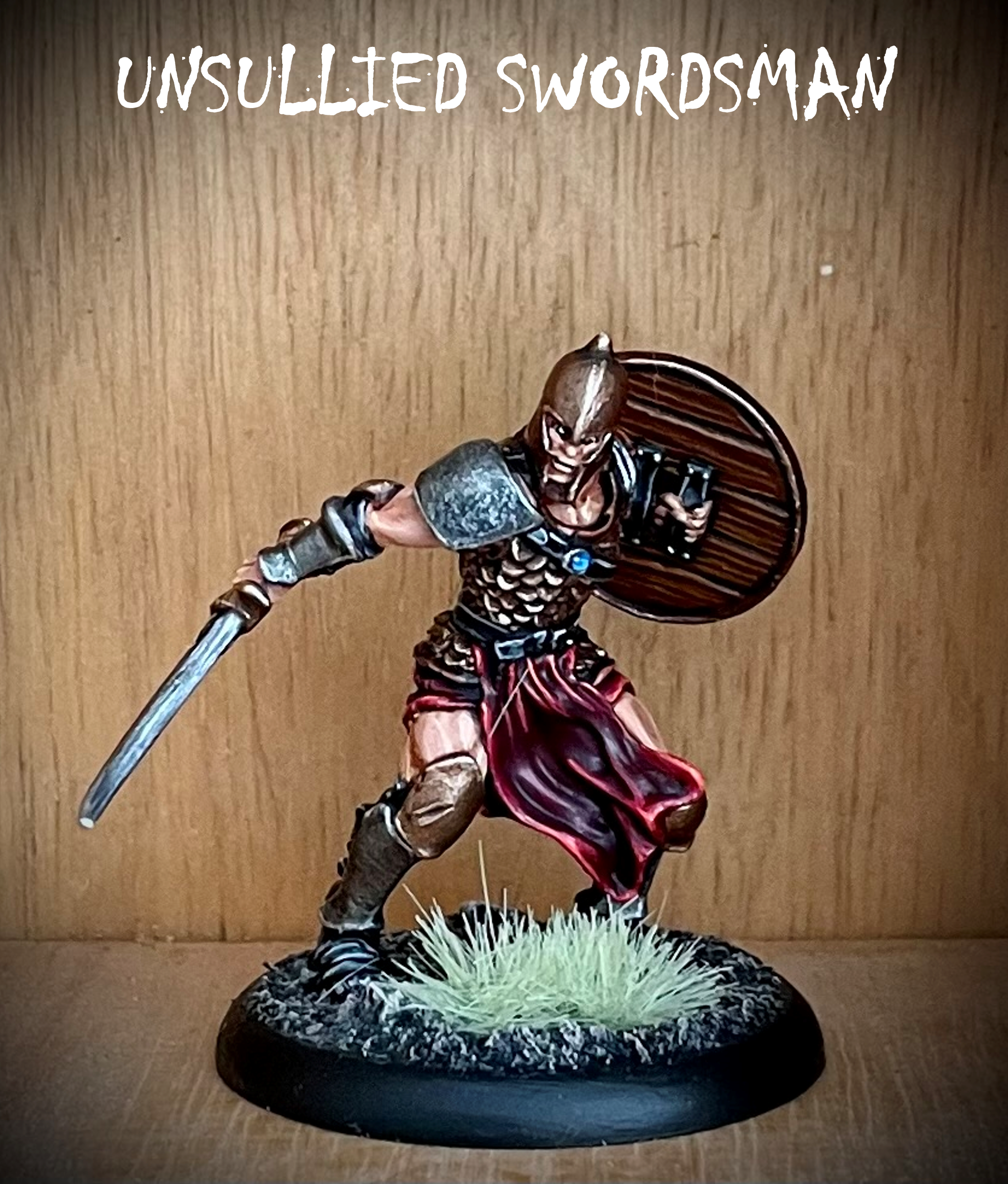 Unsullied Swordsman 01