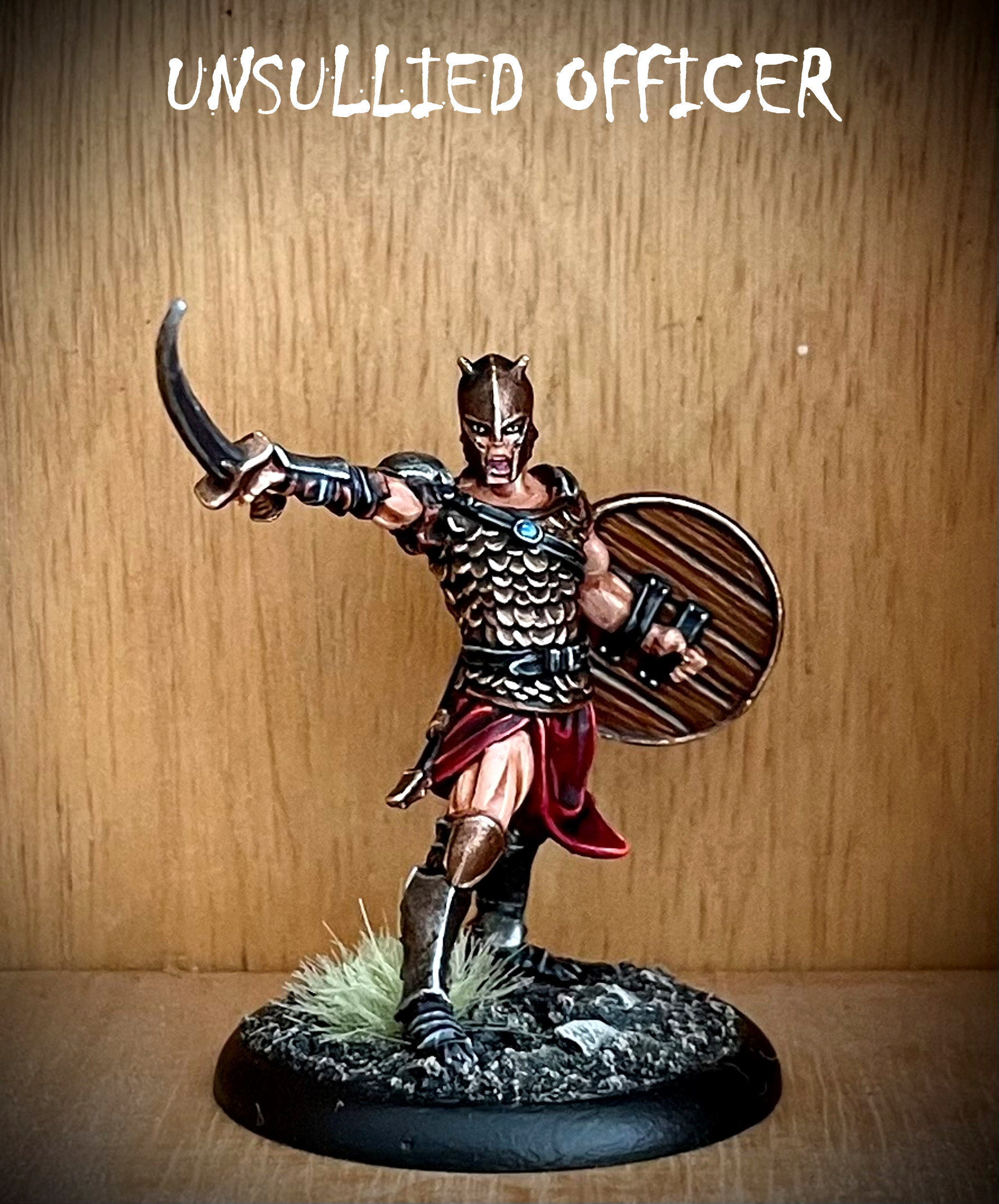 Unsullied Officer