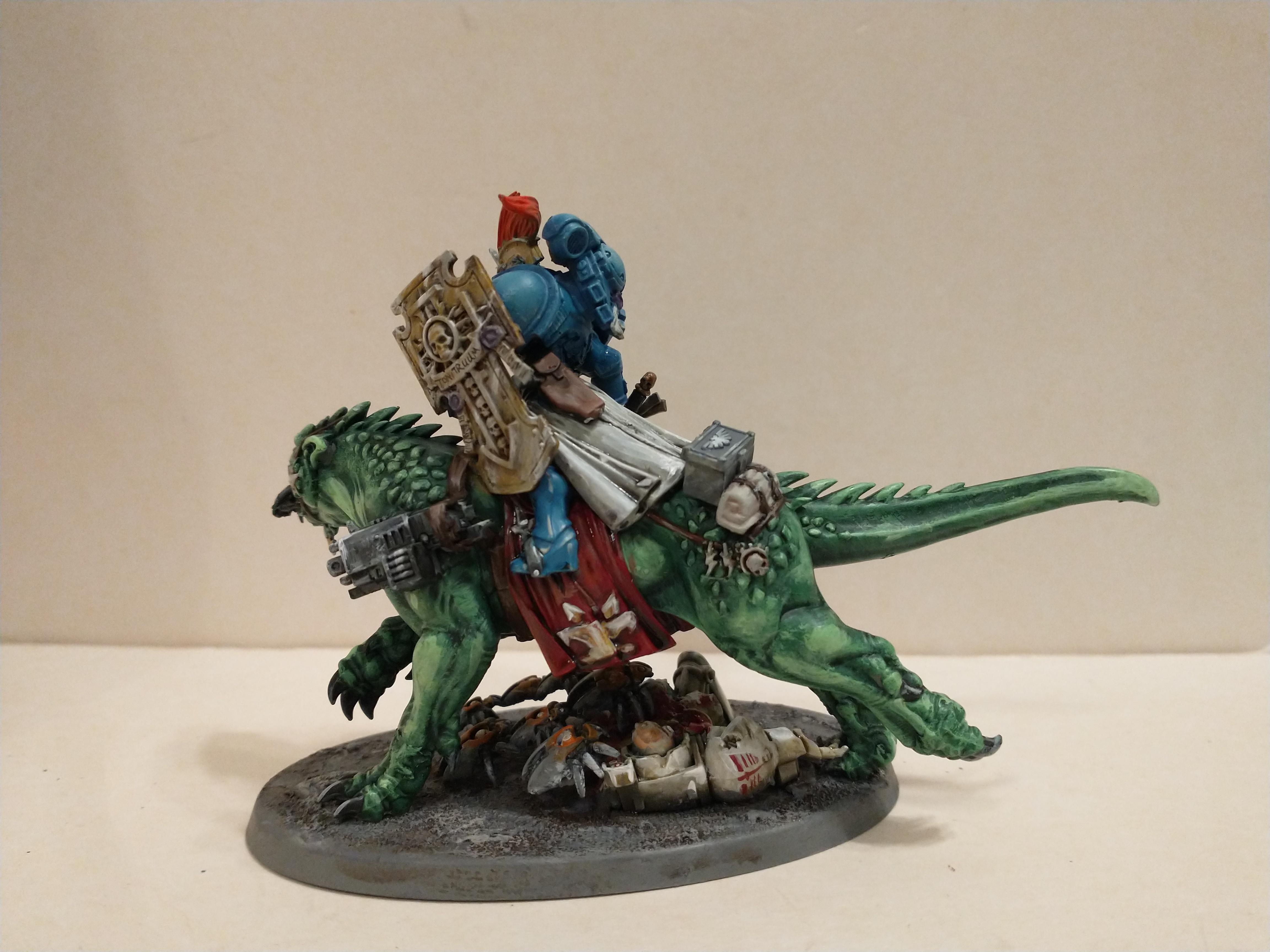 Kitbash, Primaris, Sigmarines, Sigmarite, Space Marines