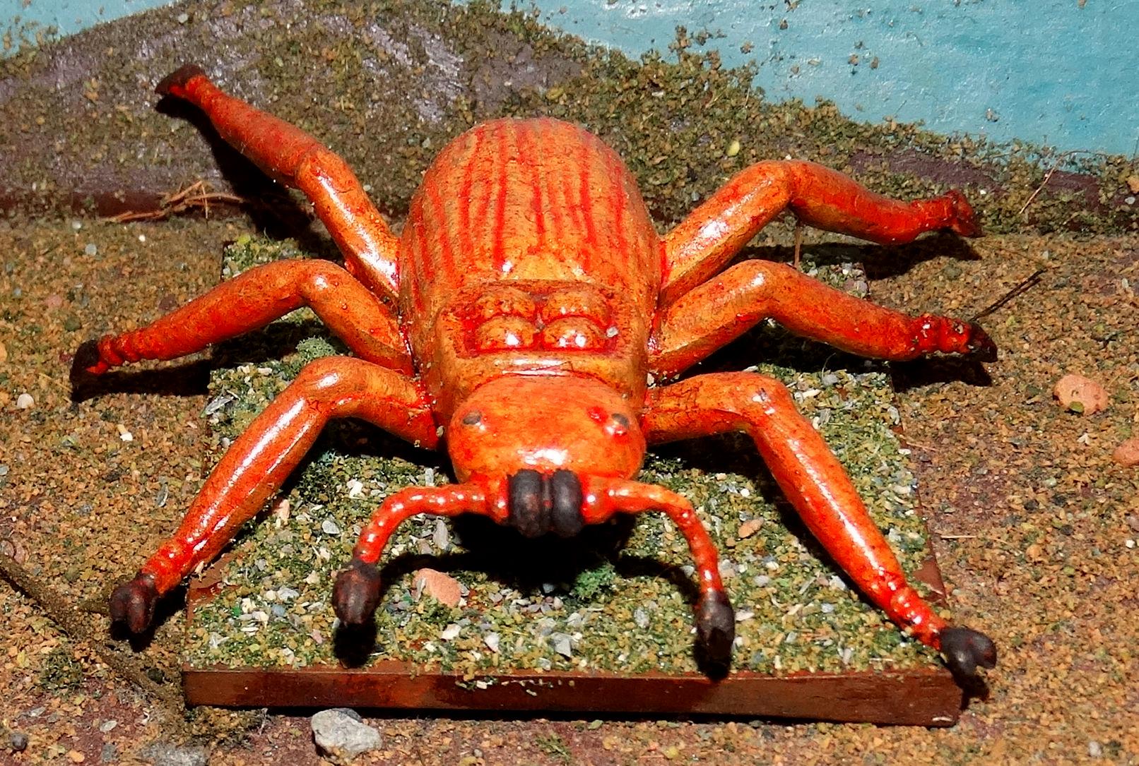 Fire Beetle