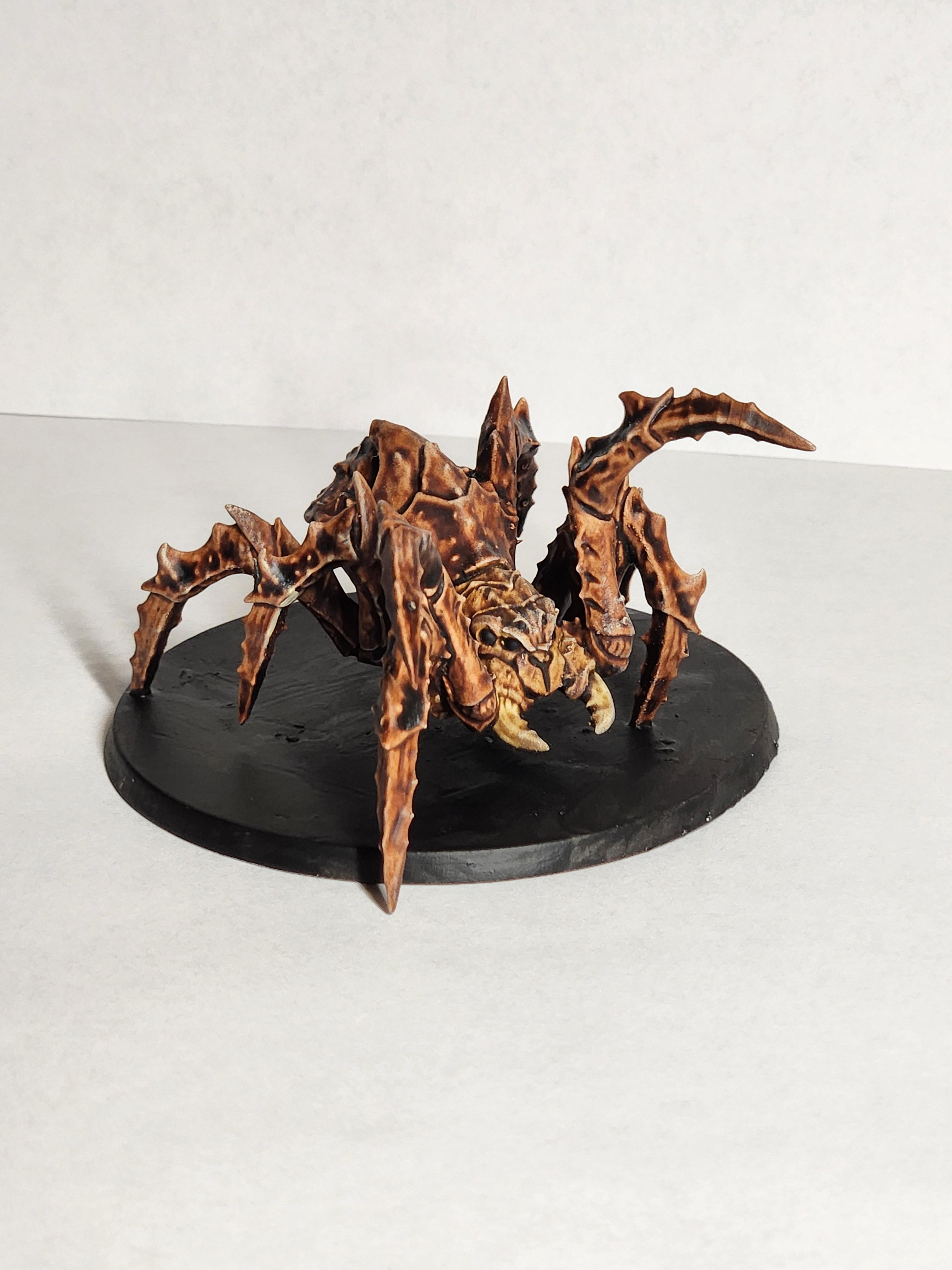 Dungeons &amp; Dragons, Dungeons And Dragons, Giant Spider, Pathfinders
