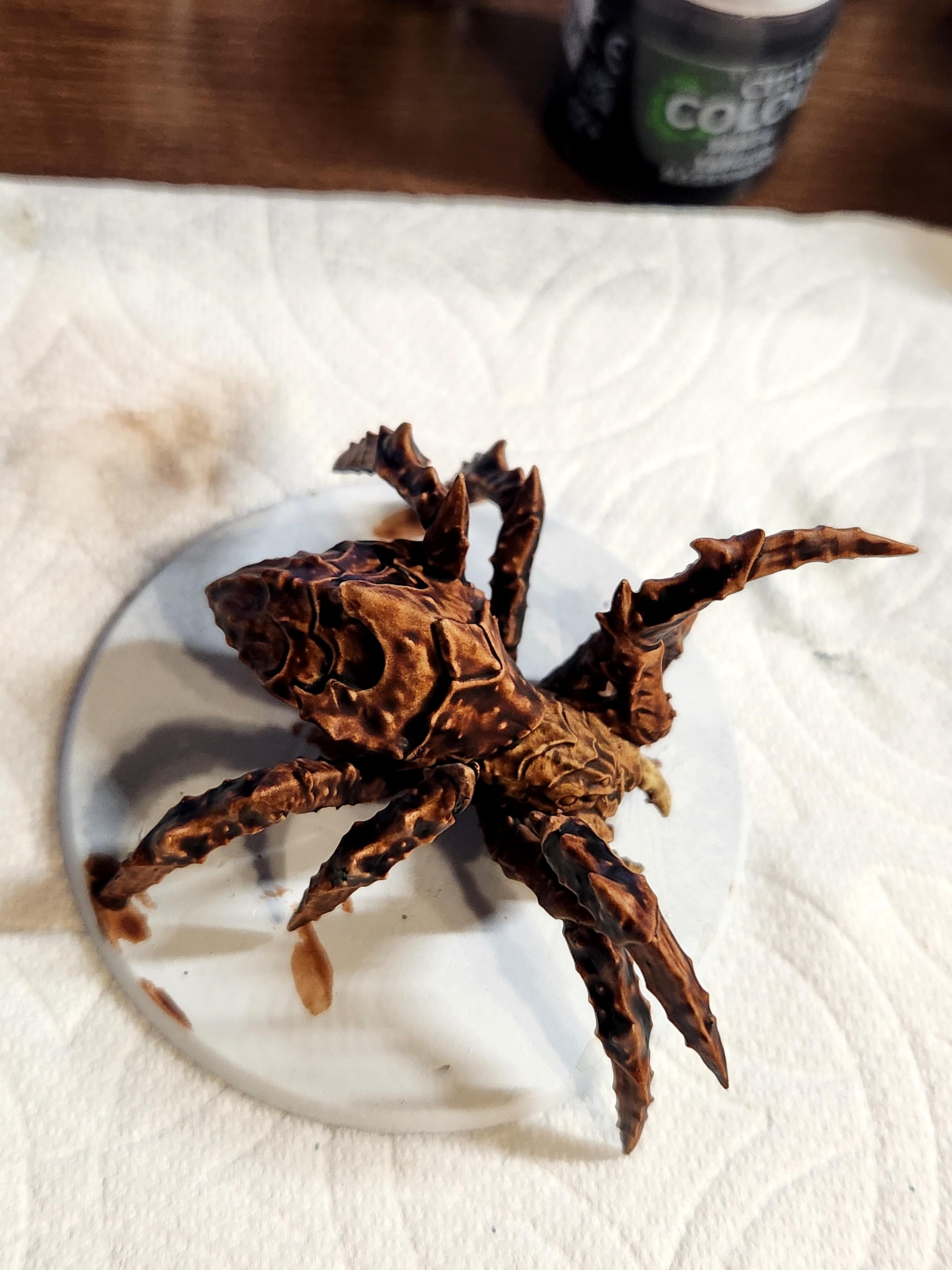 Dungeons &amp; Dragons, Dungeons And Dragons, Giant Spider, Pathfinders