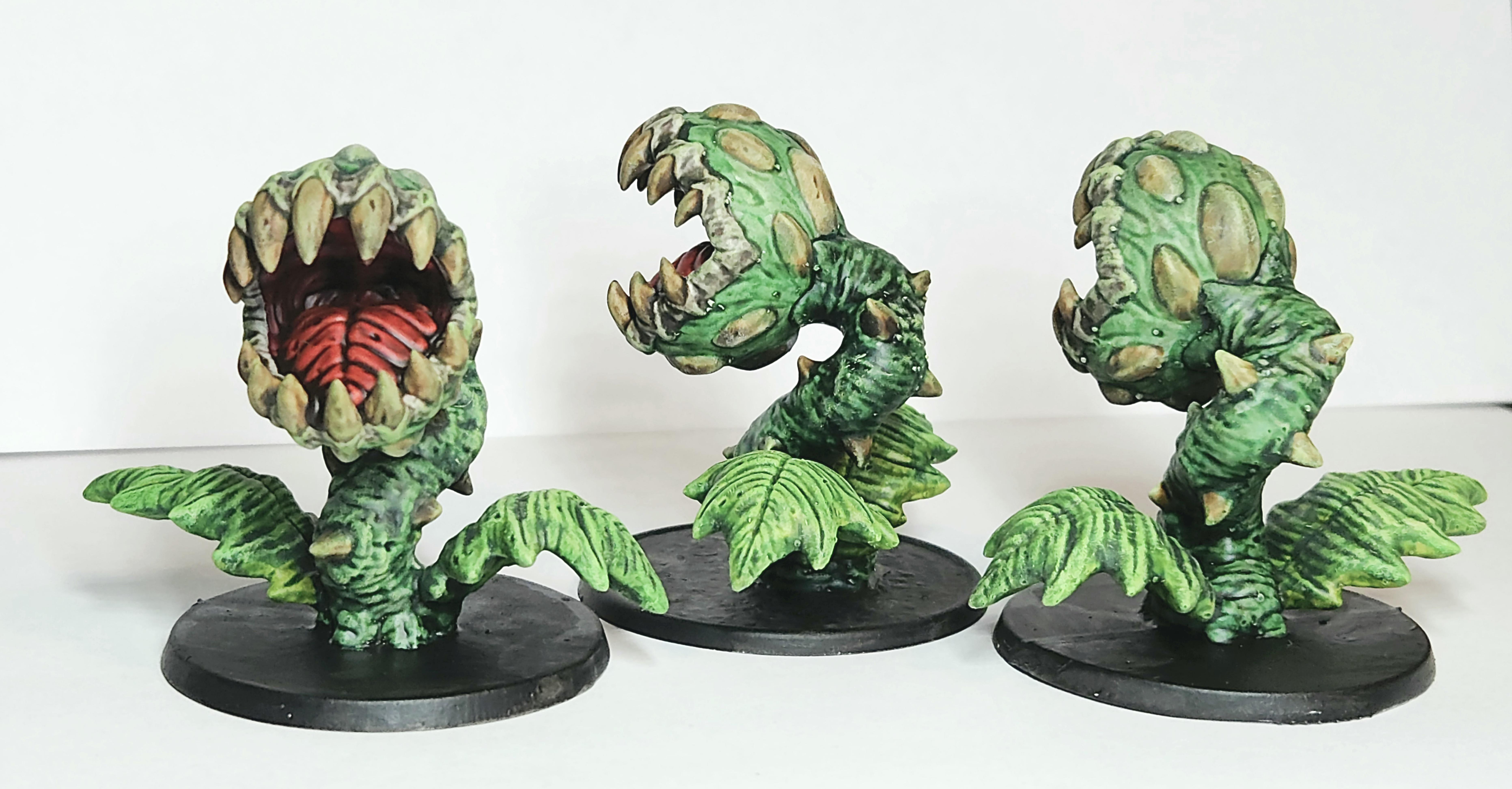 Dungeons &amp; Dragons, Dungeons And Dragons, Pathfinders, Piranha Plant, Venus Fly Trap, Viiret