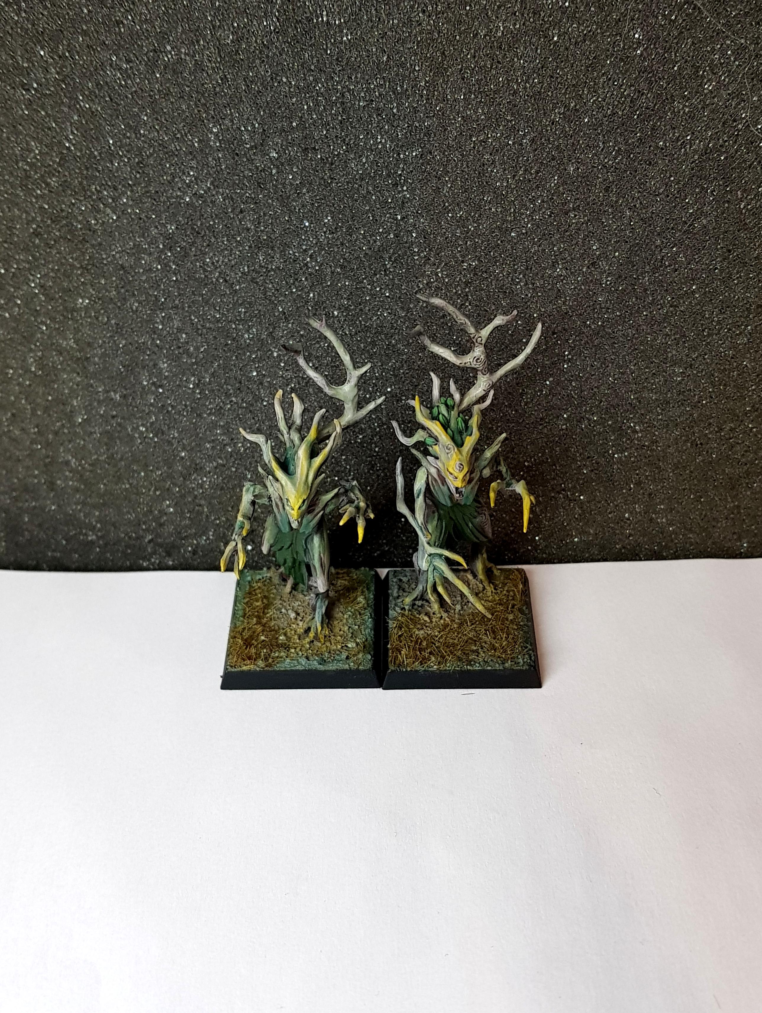 Dryads, Sylvaneth, Wood Elves