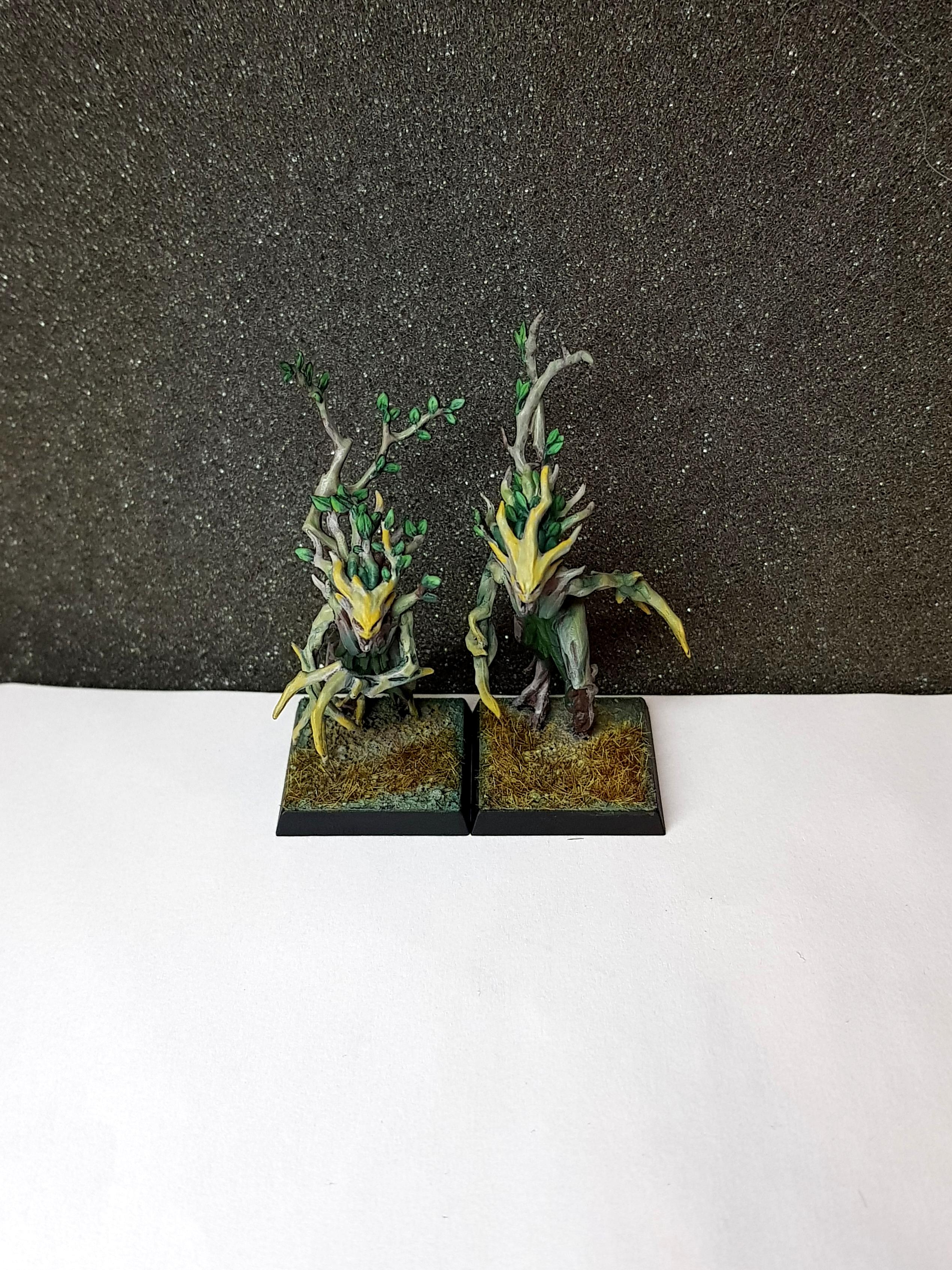 Dryads, Sylvaneth, Wood Elves