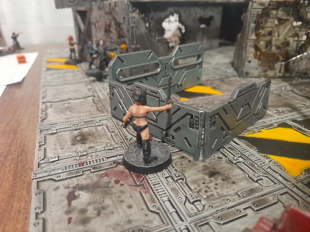 Adelana, Attelus Kaltos, Black Ops, Dellenger, Elandria, Five Parsecs From Home, Garrakson, Inquisition, Miniatures, Minis, Models, Original Characters, Secret War, Skirmish Game, Solo Game, The Angaran Chronicles, Torris, Warhammer 40,000