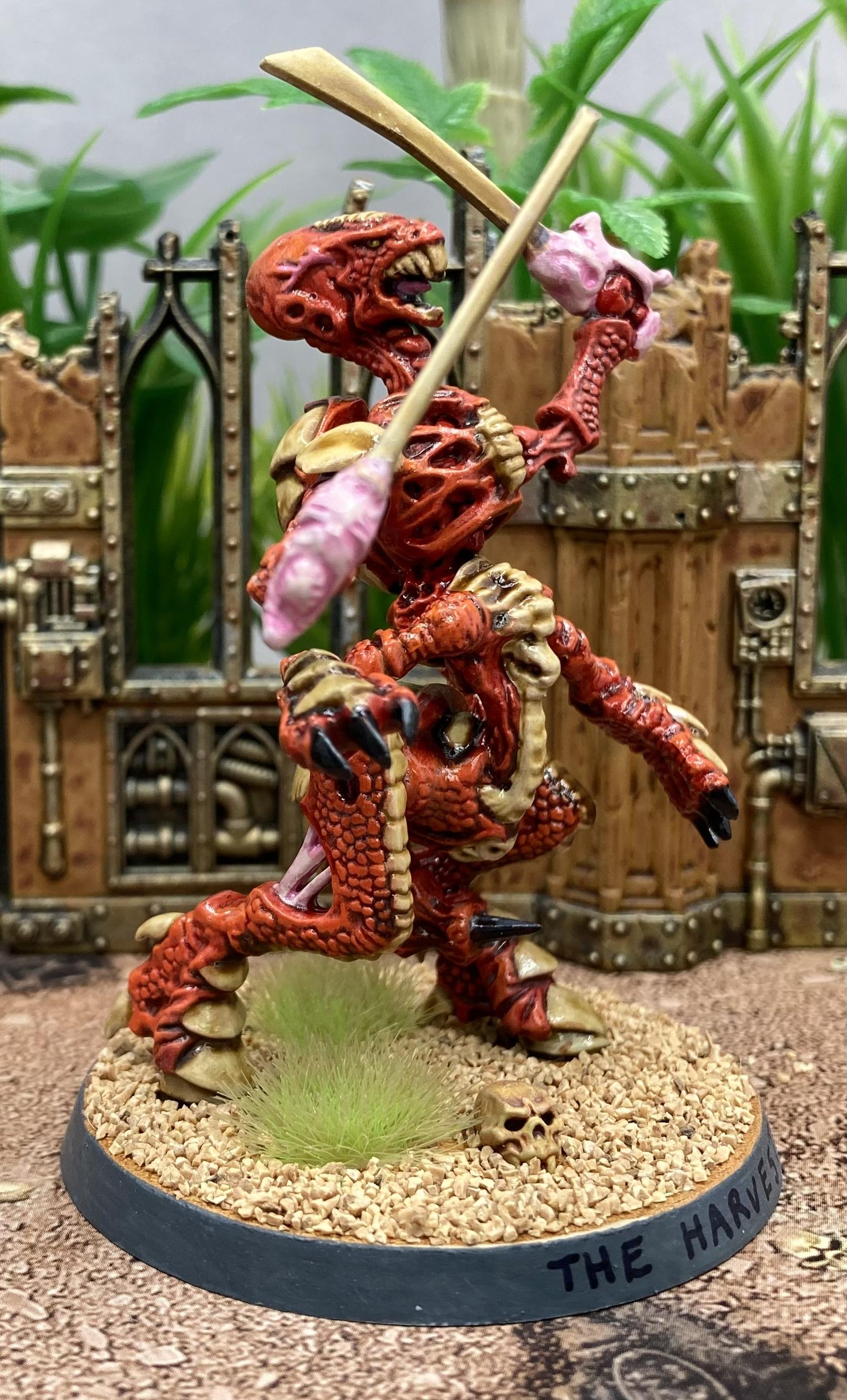 Tyranid Warrior 5