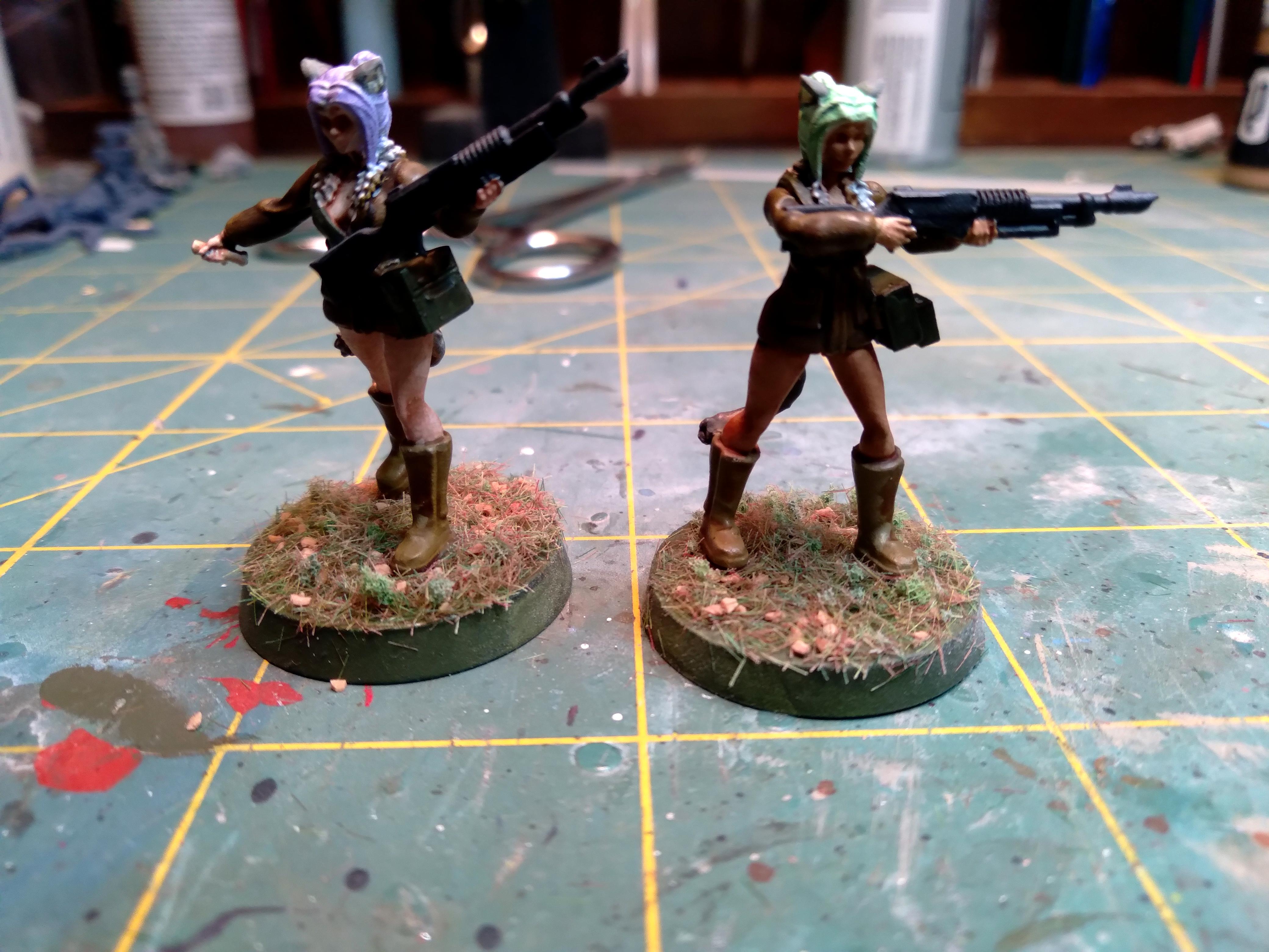 Rifles, Winterguard