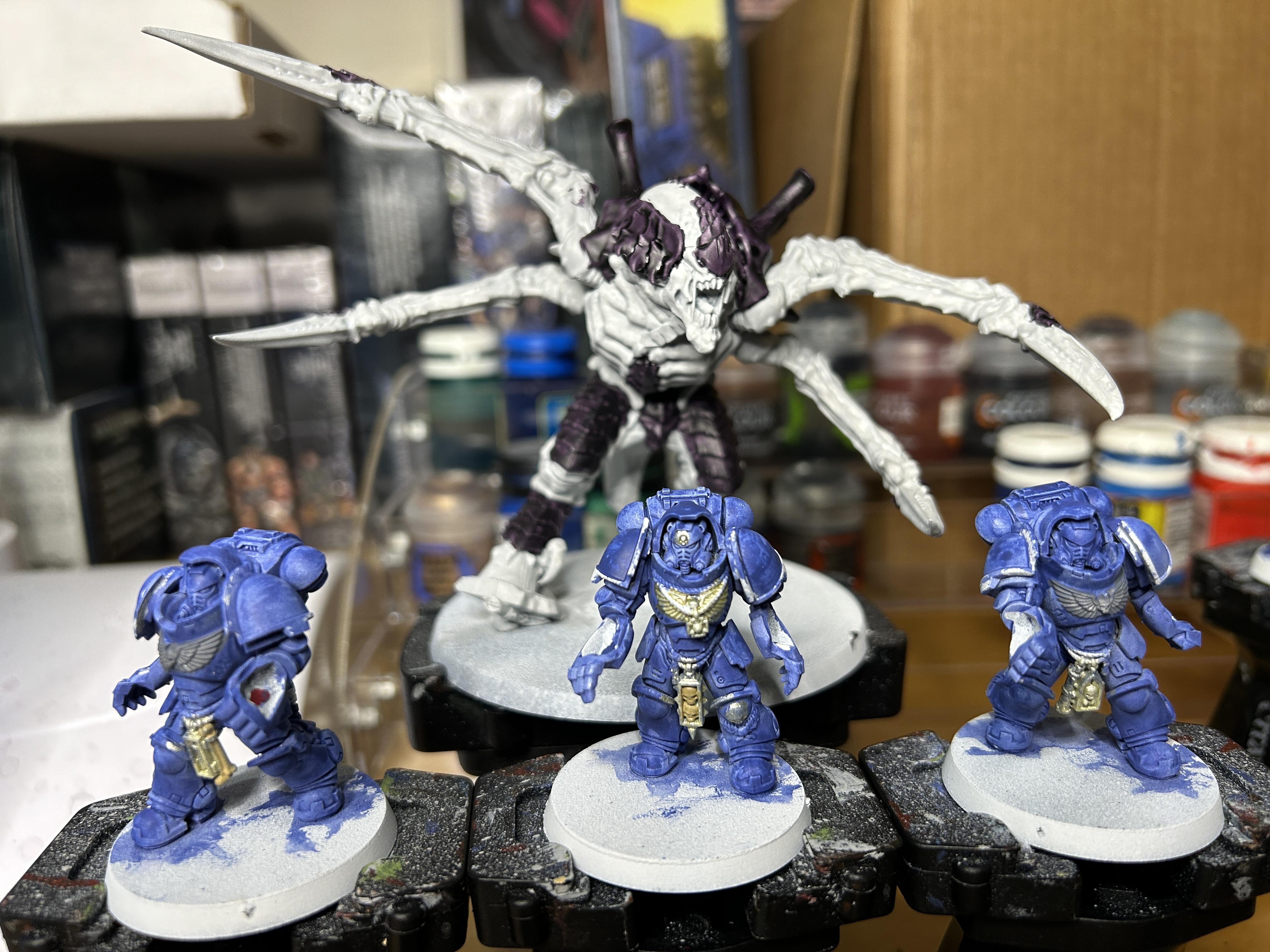 11-16 wip