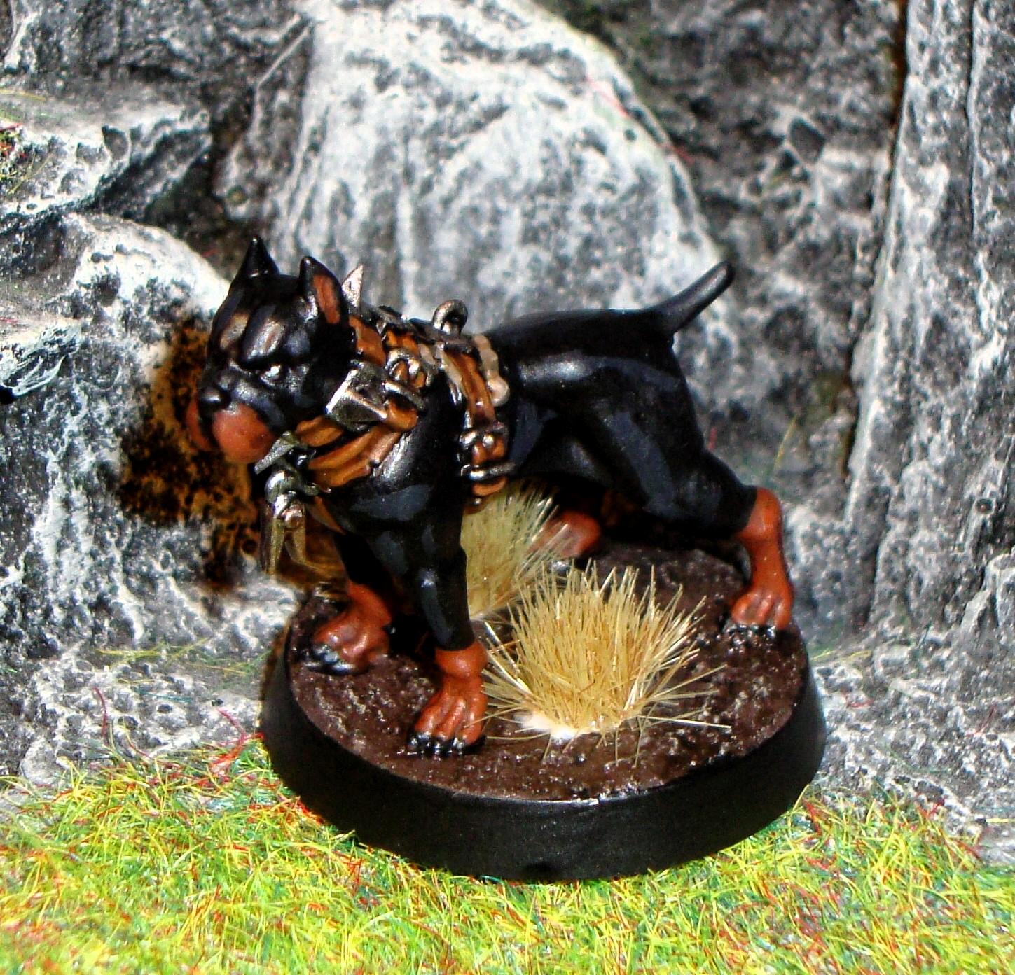 Age Of Sigmar, Dog, Warcry, Wildercorps Hunters