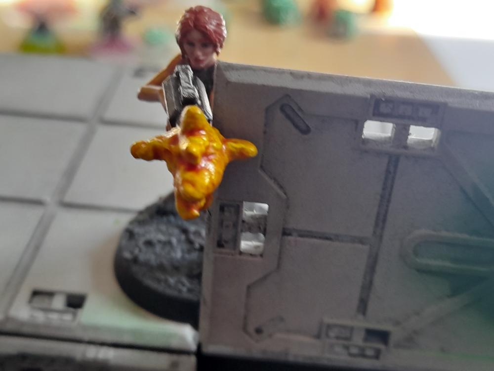 Adelana Helgen, Arlathan Karkin, Attelus Kaltos, Chaos, Chaos Space Marines, Duck Knights, Firefight, Grimdark Future, Havoc Brothers, Inquisition, Karmen Kons, Minis, Skirmish, Storm Troopers
