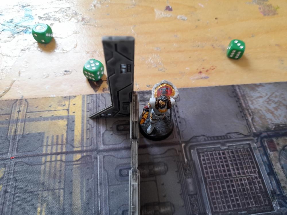 Adelana Helgen, Arlathan Karkin, Attelus Kaltos, Chaos, Chaos Space Marines, Duck Knights, Firefight, Grimdark Future, Havoc Brothers, Inquisition, Karmen Kons, Minis, Skirmish, Storm Troopers