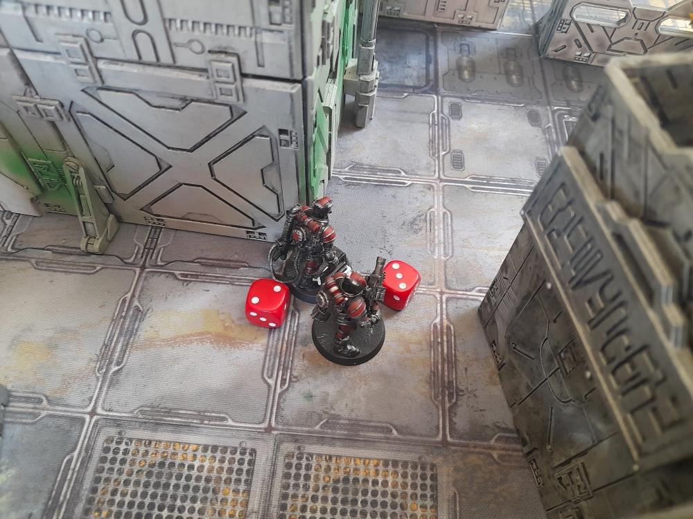 Adelana Helgen, Arlathan Karkin, Attelus Kaltos, Chaos, Chaos Space Marines, Duck Knights, Firefight, Grimdark Future, Havoc Brothers, Inquisition, Karmen Kons, Minis, Skirmish, Storm Troopers