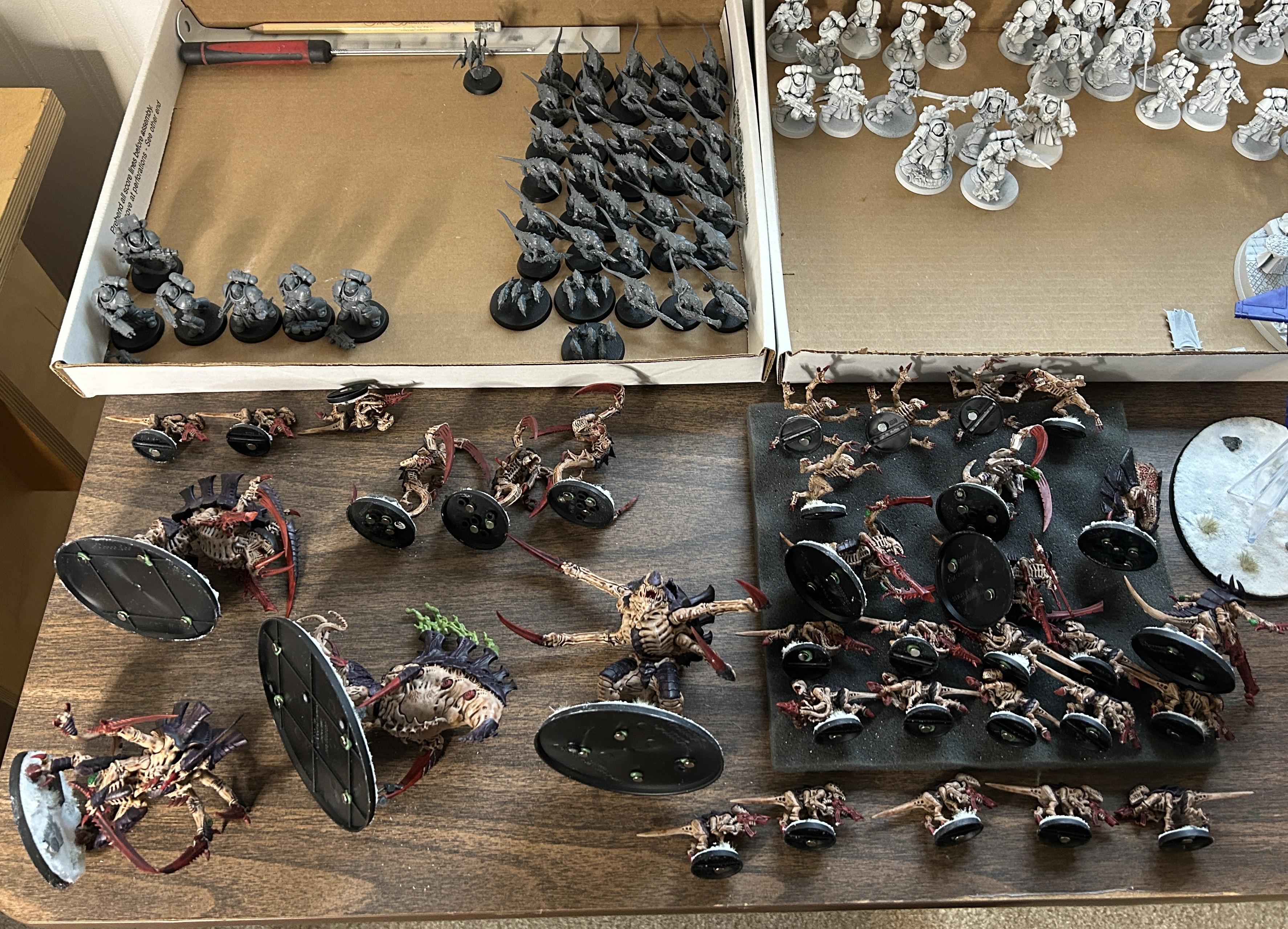 Mag Nids