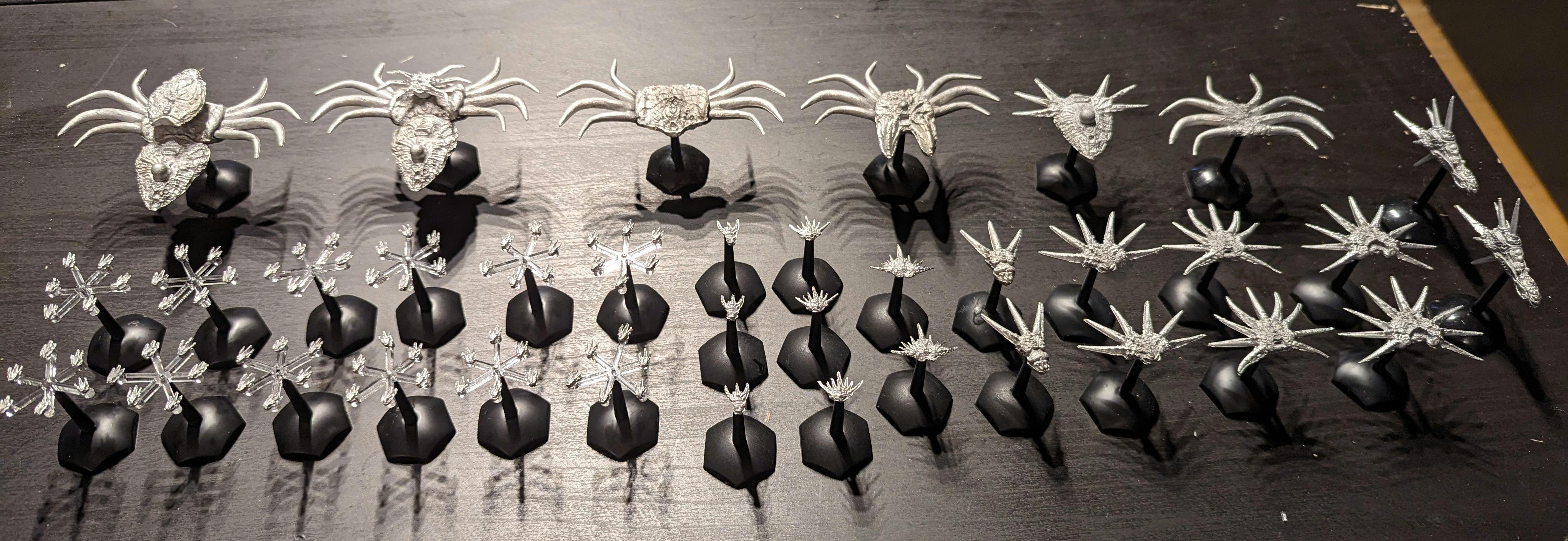 SV Fleet