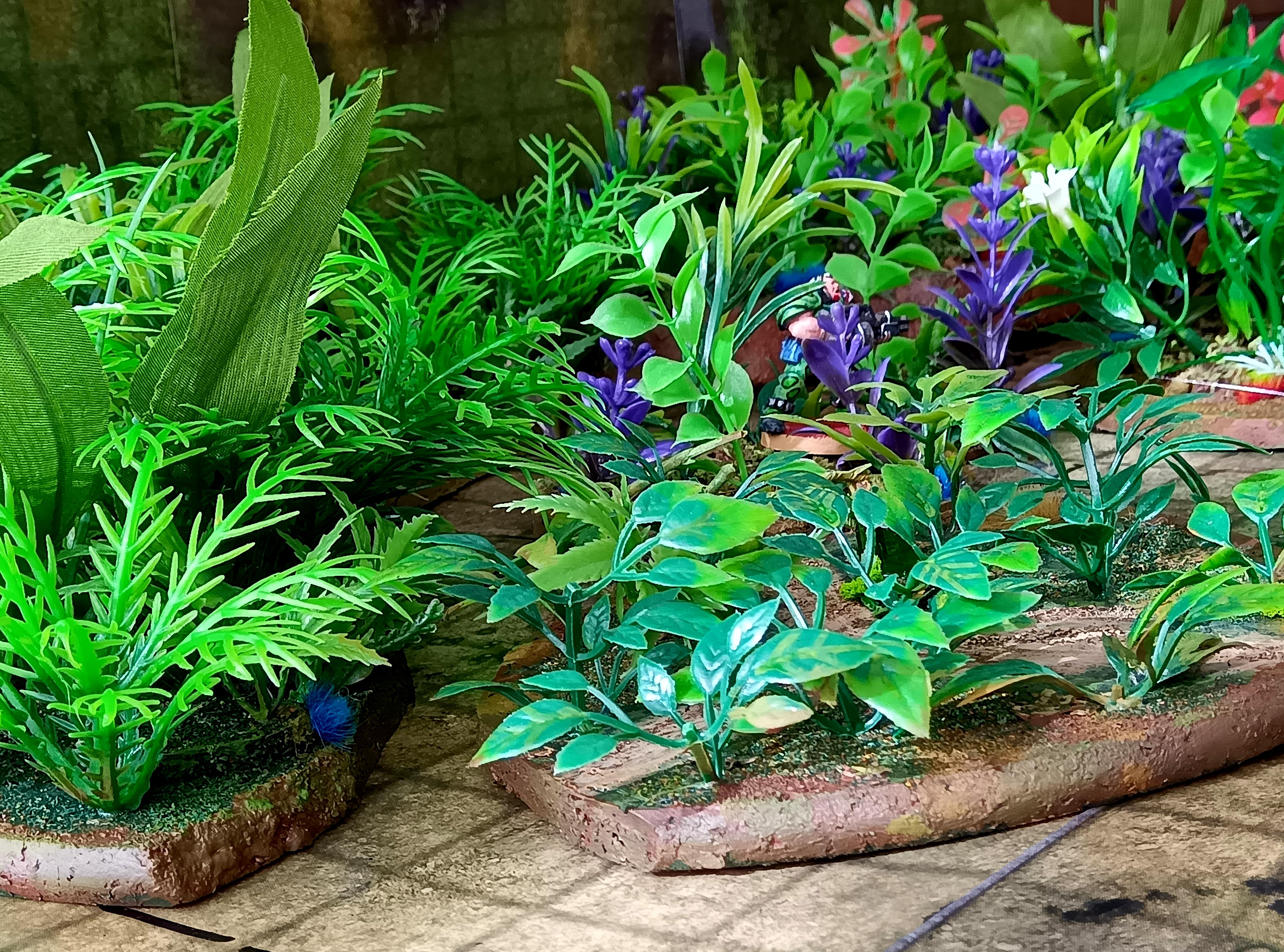 Jungle, Killteam, Terrain