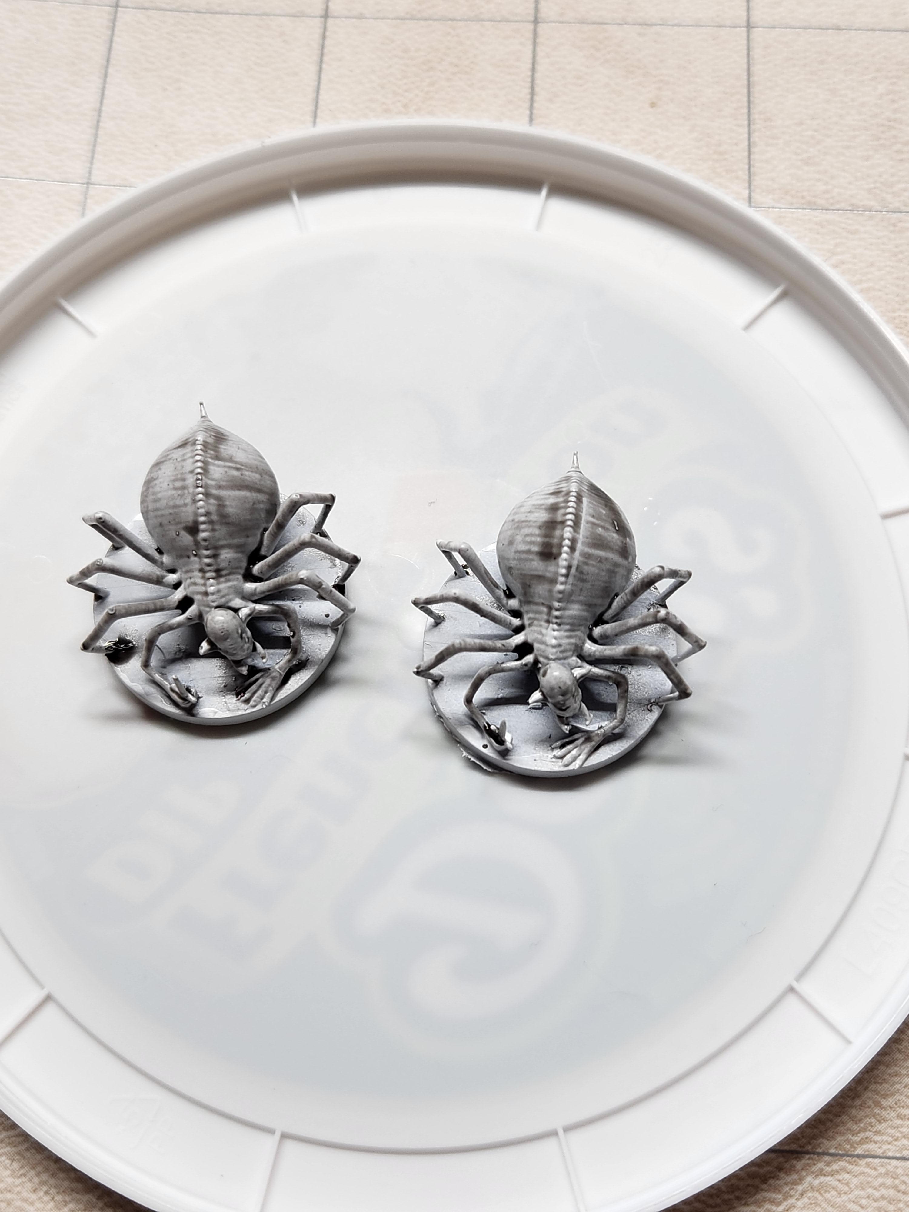 Choldrith, Dungeons &amp; Dragons, Dungeons And Dragons, Pathfinders