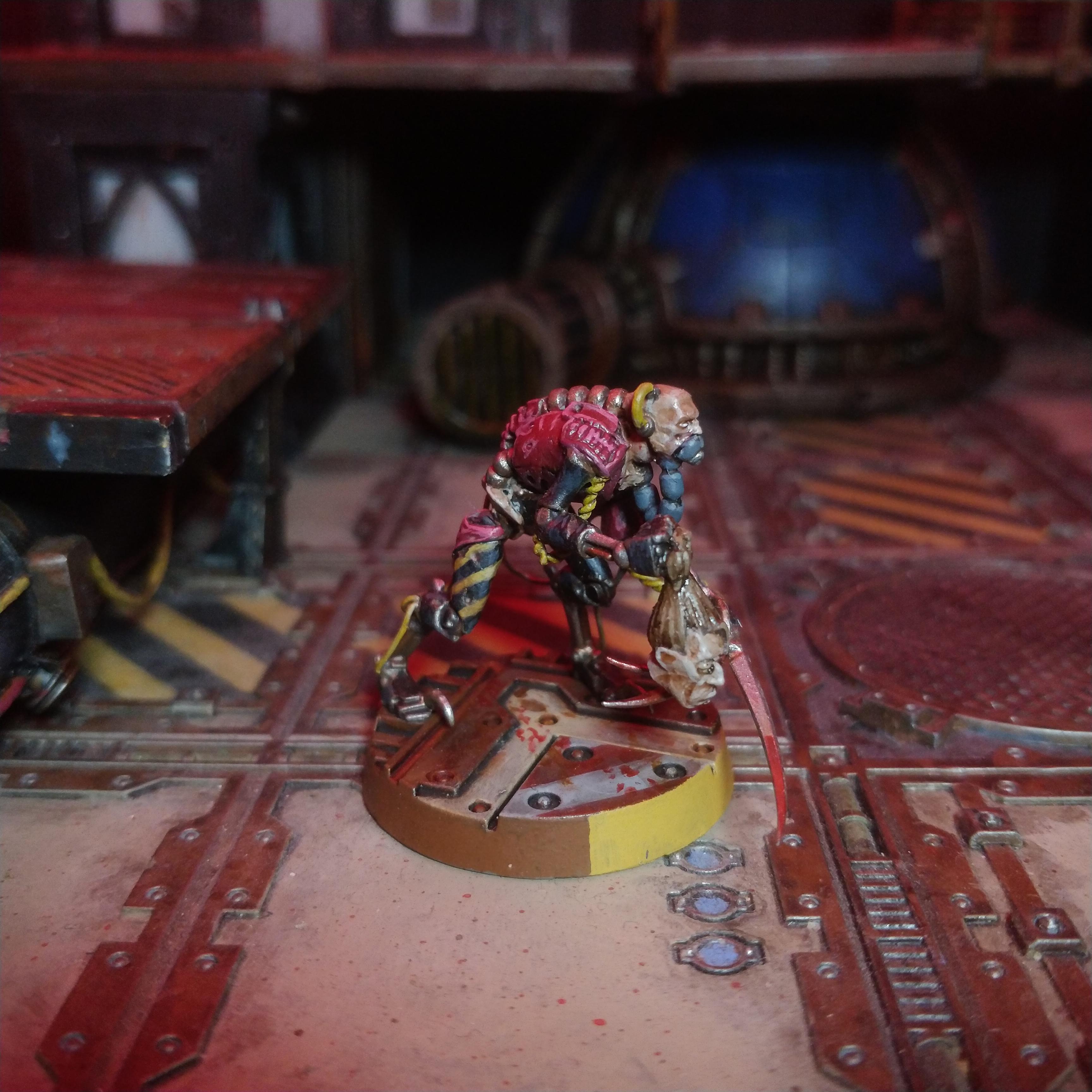 N17, Necromunda, Servitors
