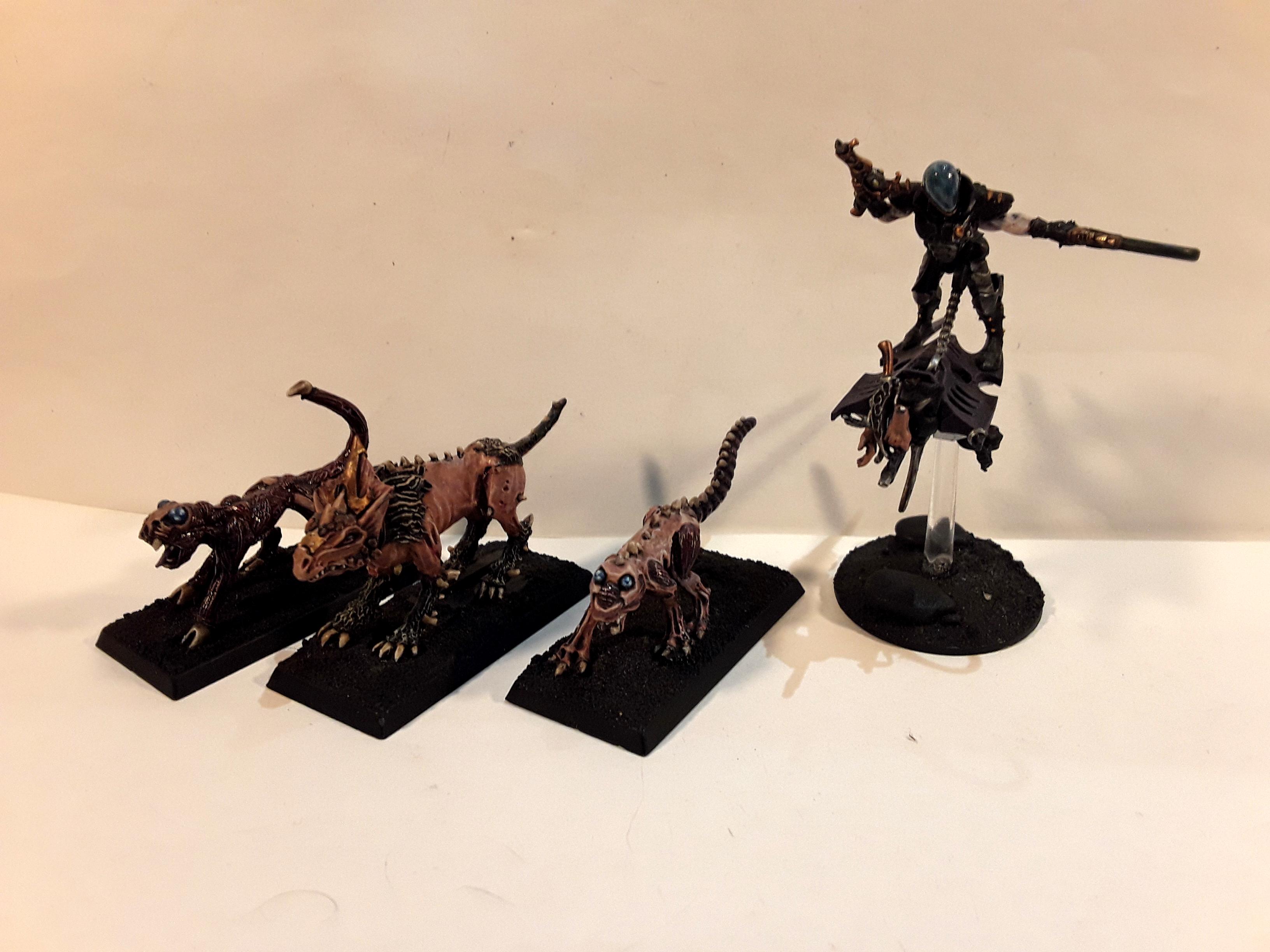 Eldar 40k, beastmaster