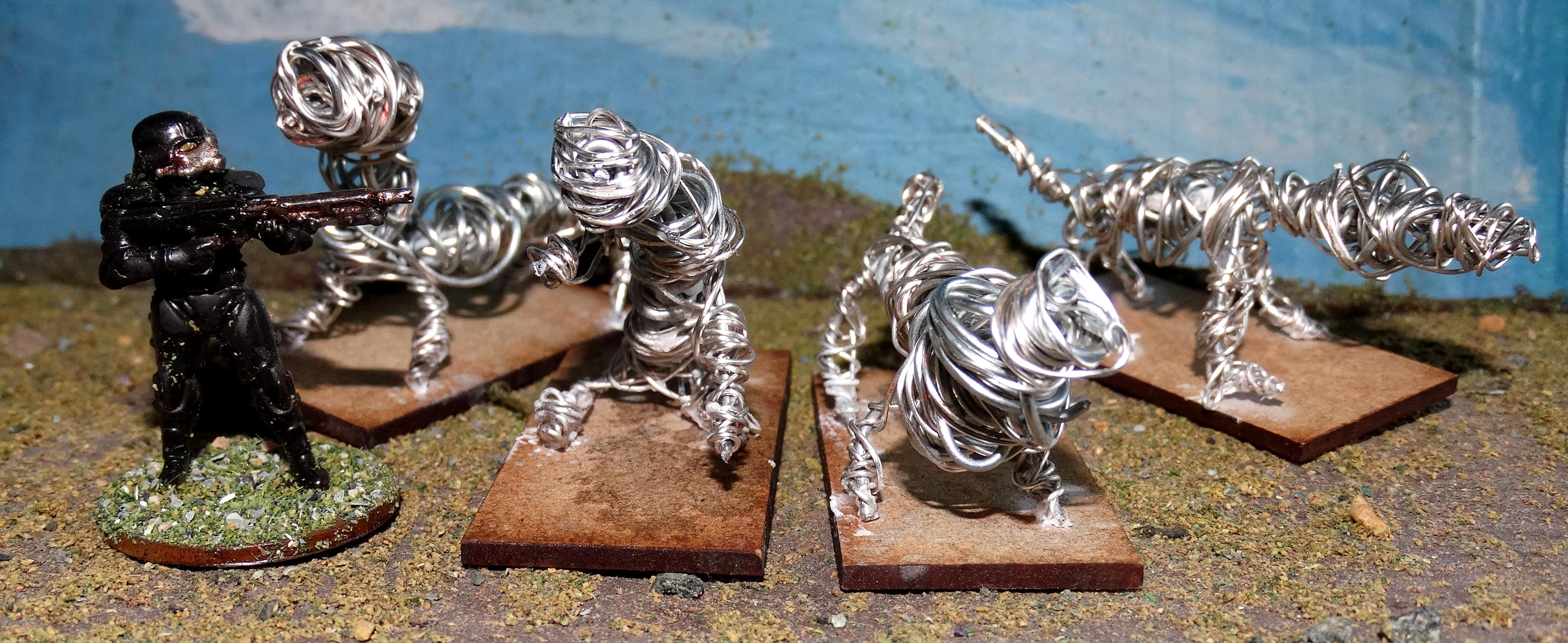 Coil Hounds