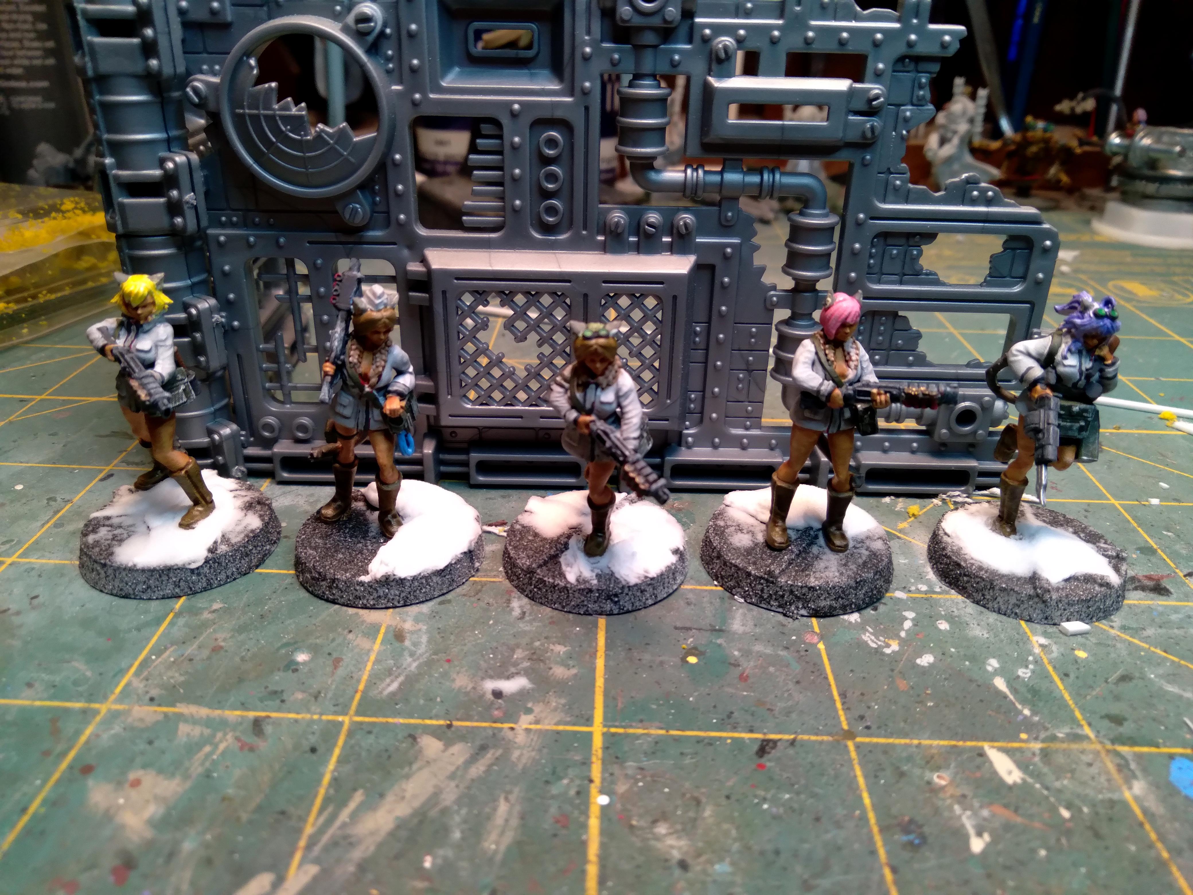 Cqb, Shotguns, Winterguard