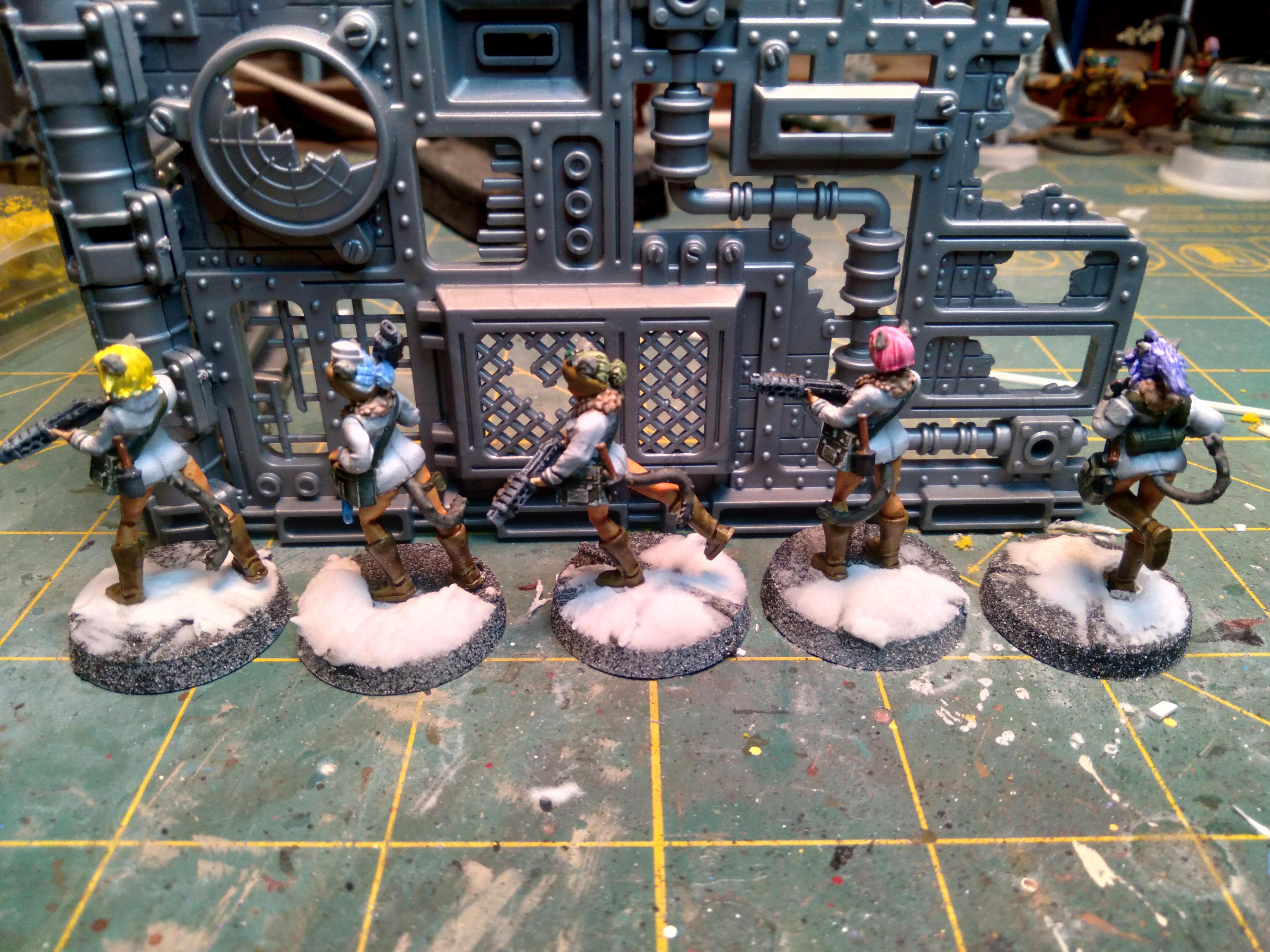 Cqb, Shotguns, Winterguard
