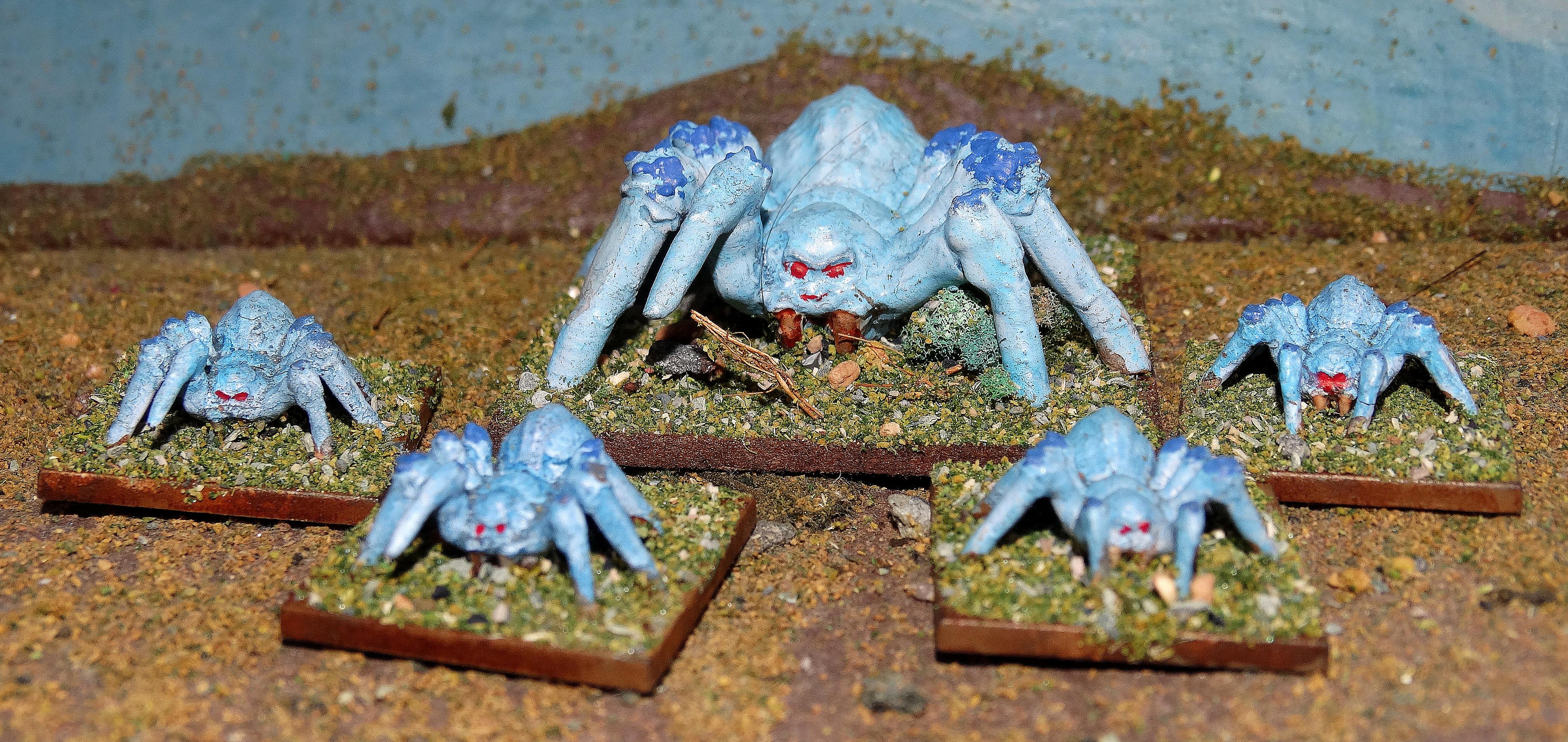 Spiders