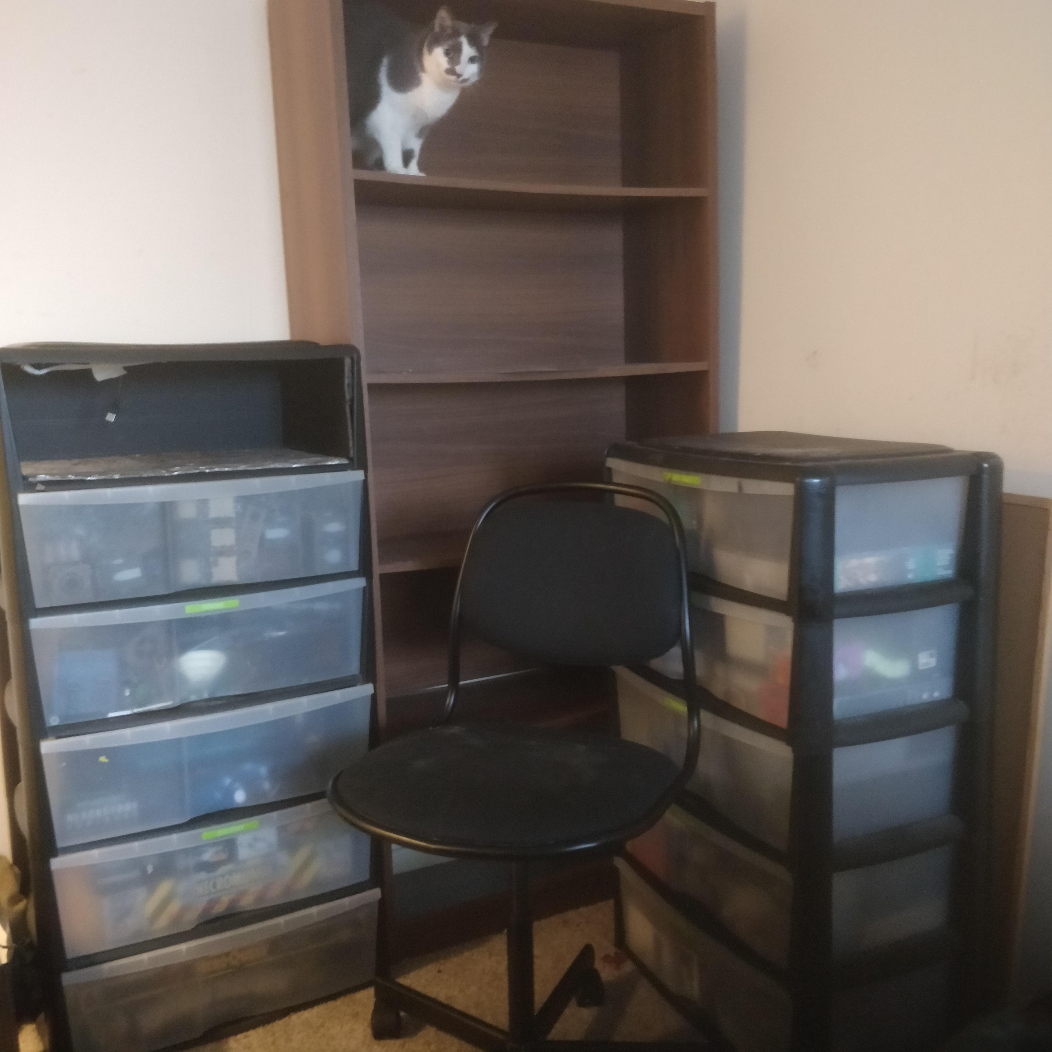 Hobby Space, Kitty, Sadness, Workspace