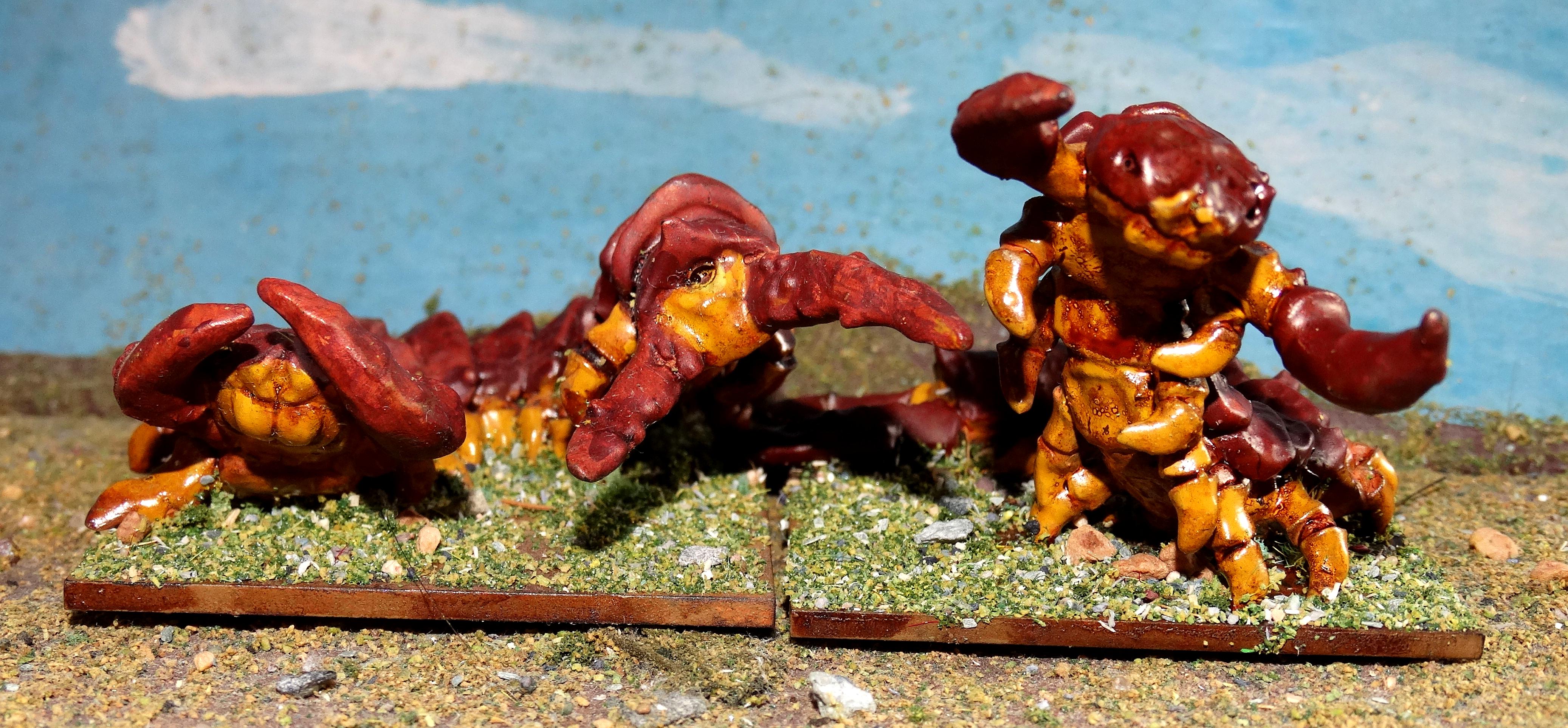 Giant Centipedes