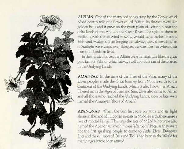 Flowers, Ian Miller, John Blanche, Retro Review, Tolkien