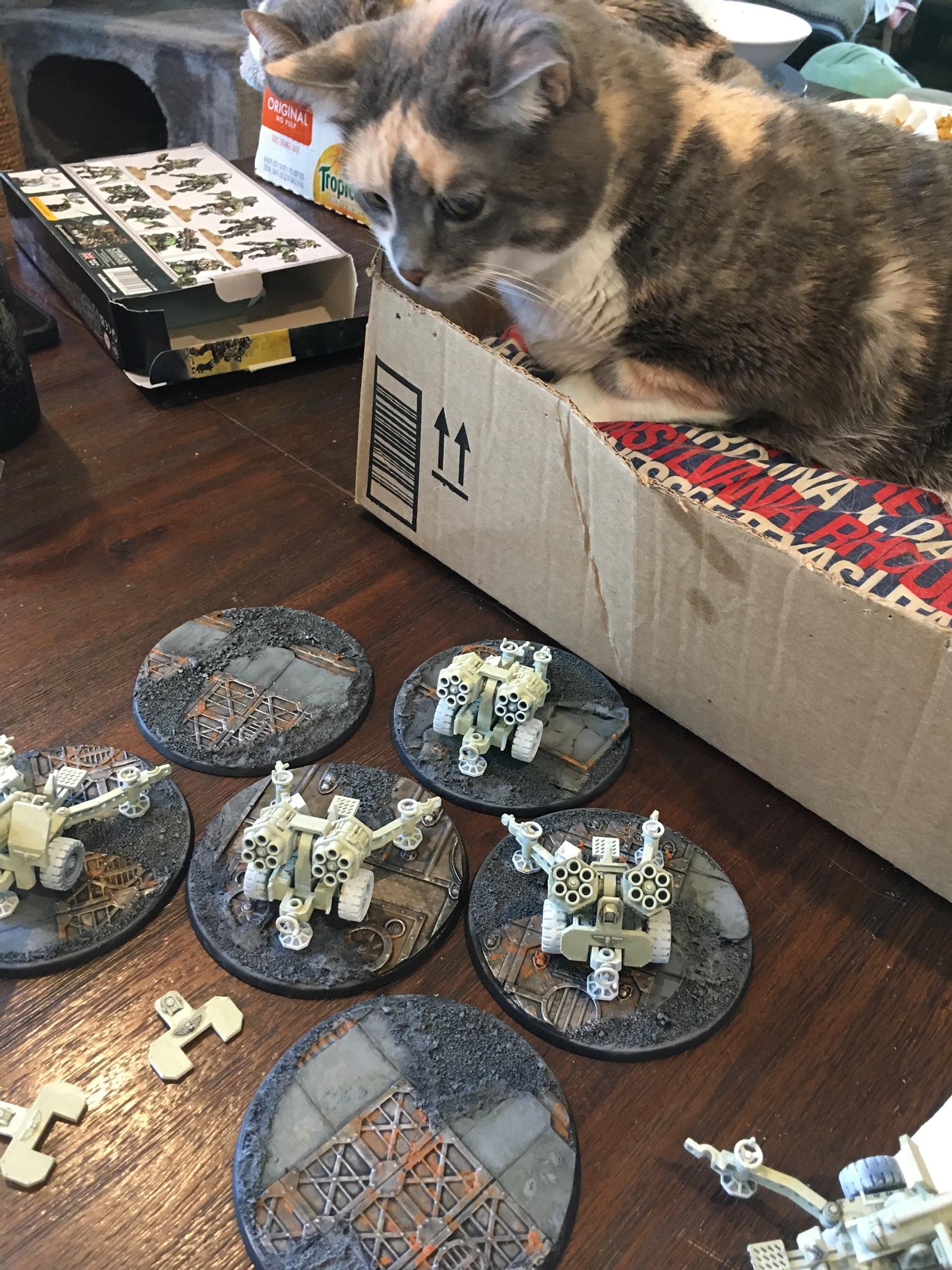 Astra Militarum, Imperial Guard, Steel Legion