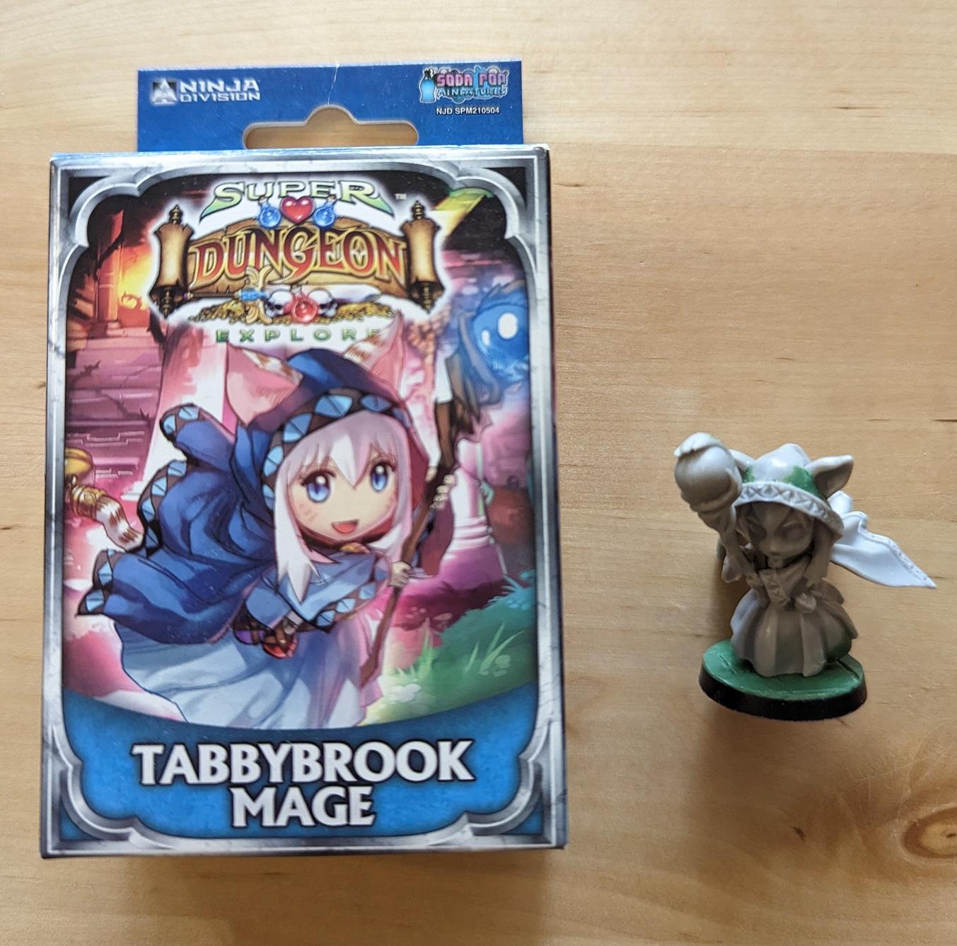 SDE Tabbybrook Mage