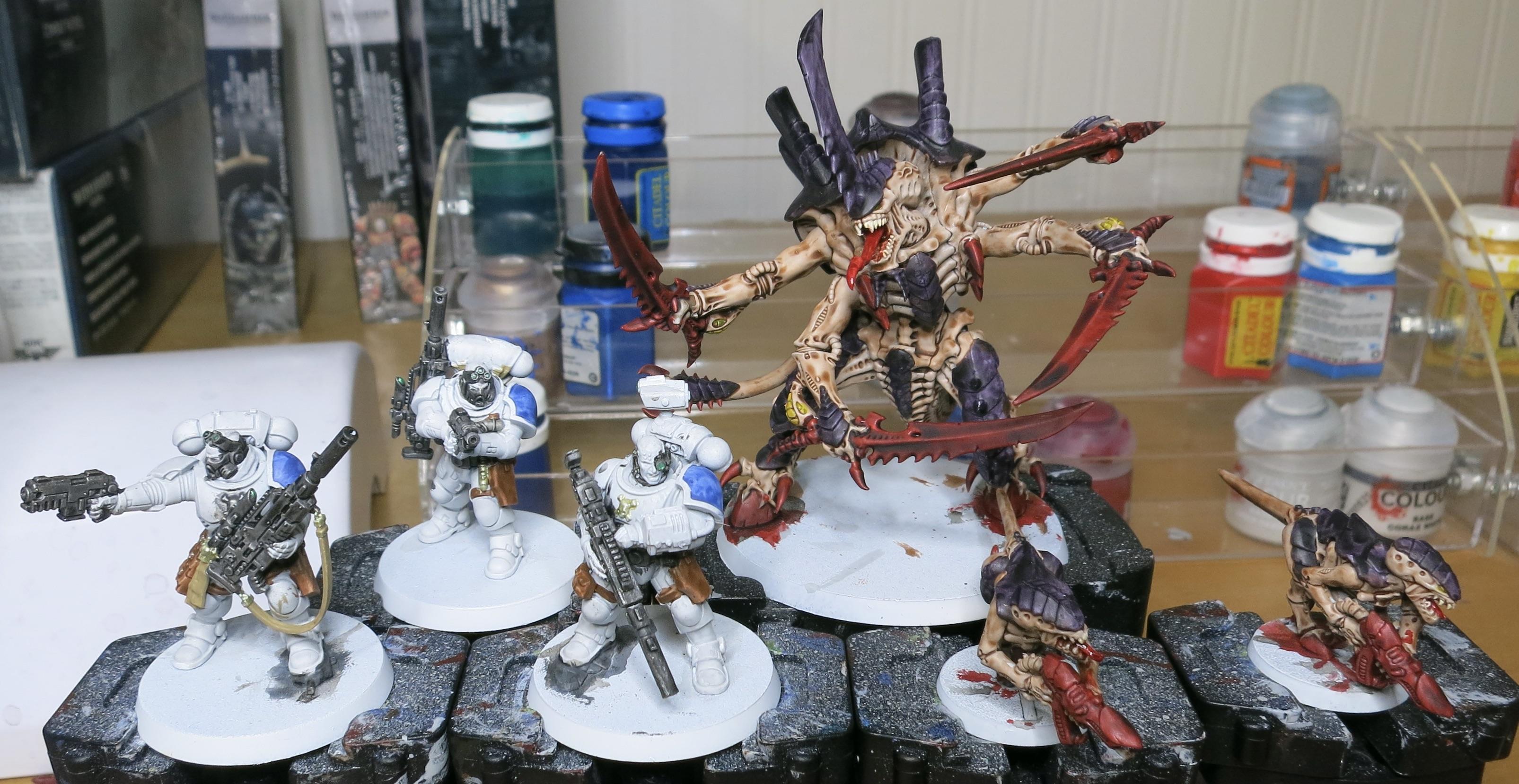 5-14 WIP2