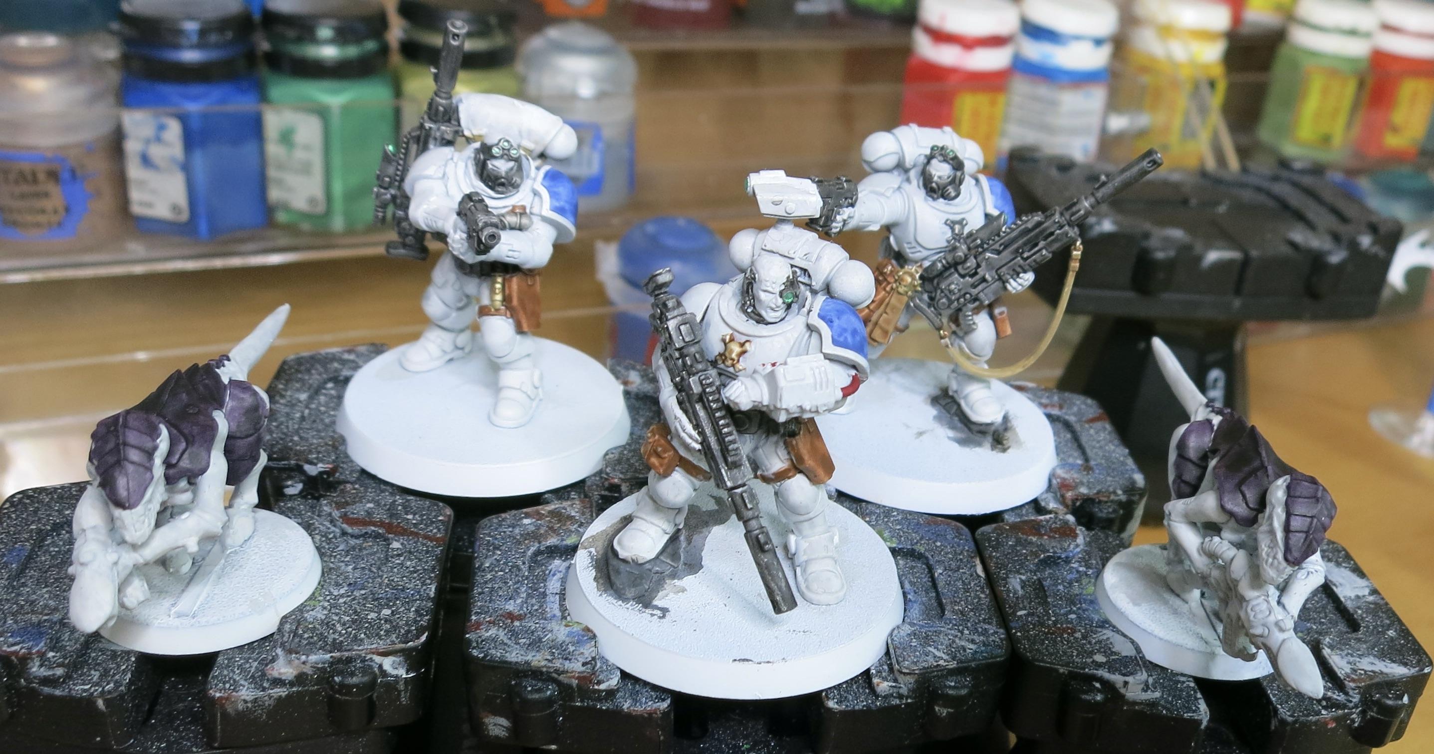 5-20 WIP