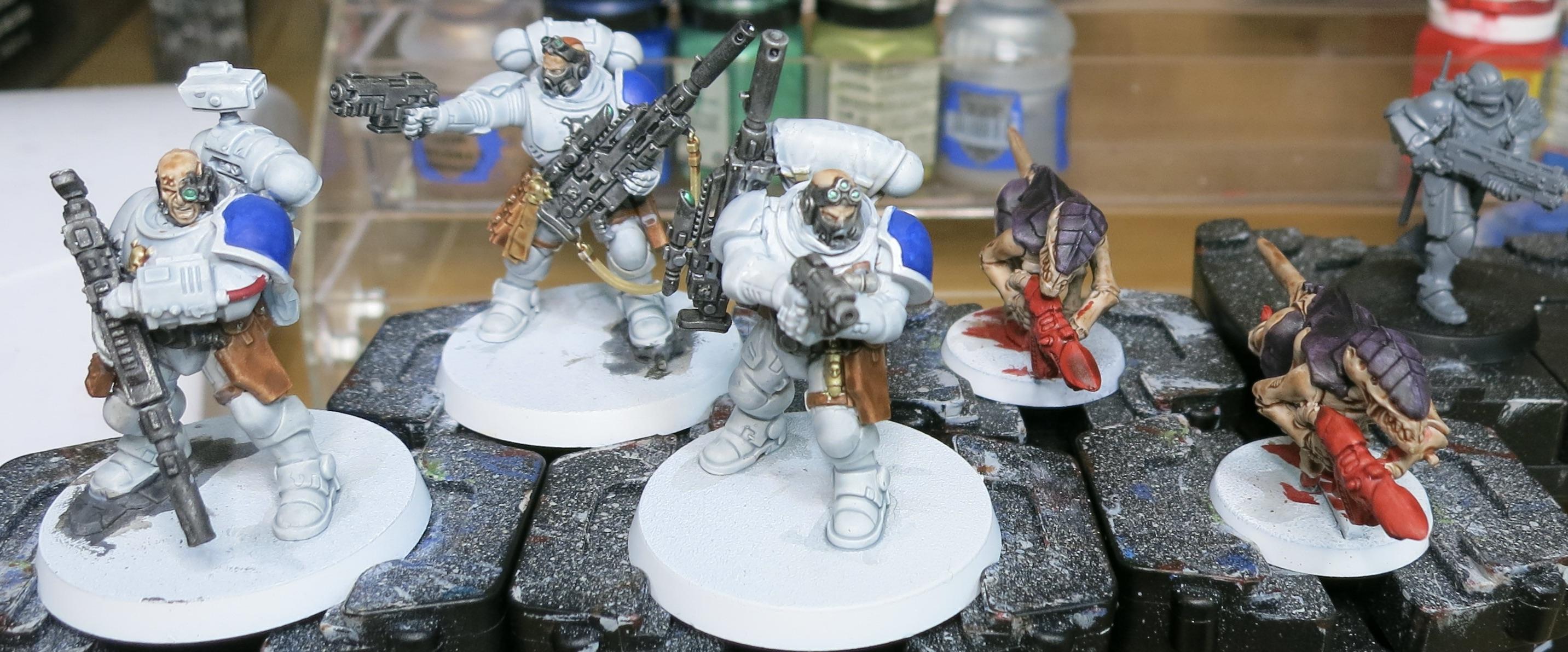 5-21 WIP