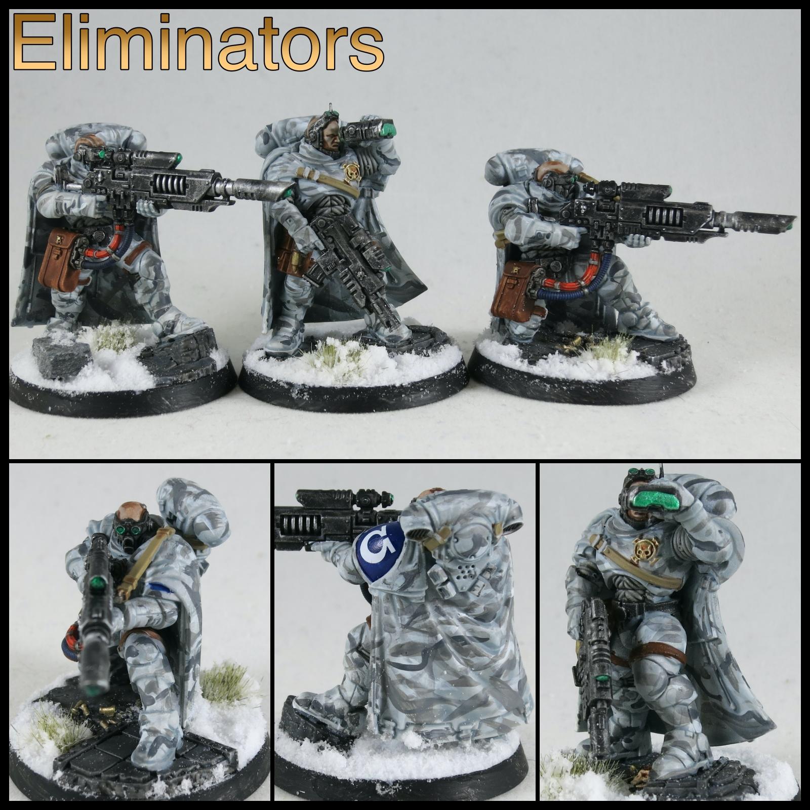Astartes, Camouflage, Eliminators, Legion, Snow, Space, Space Marines