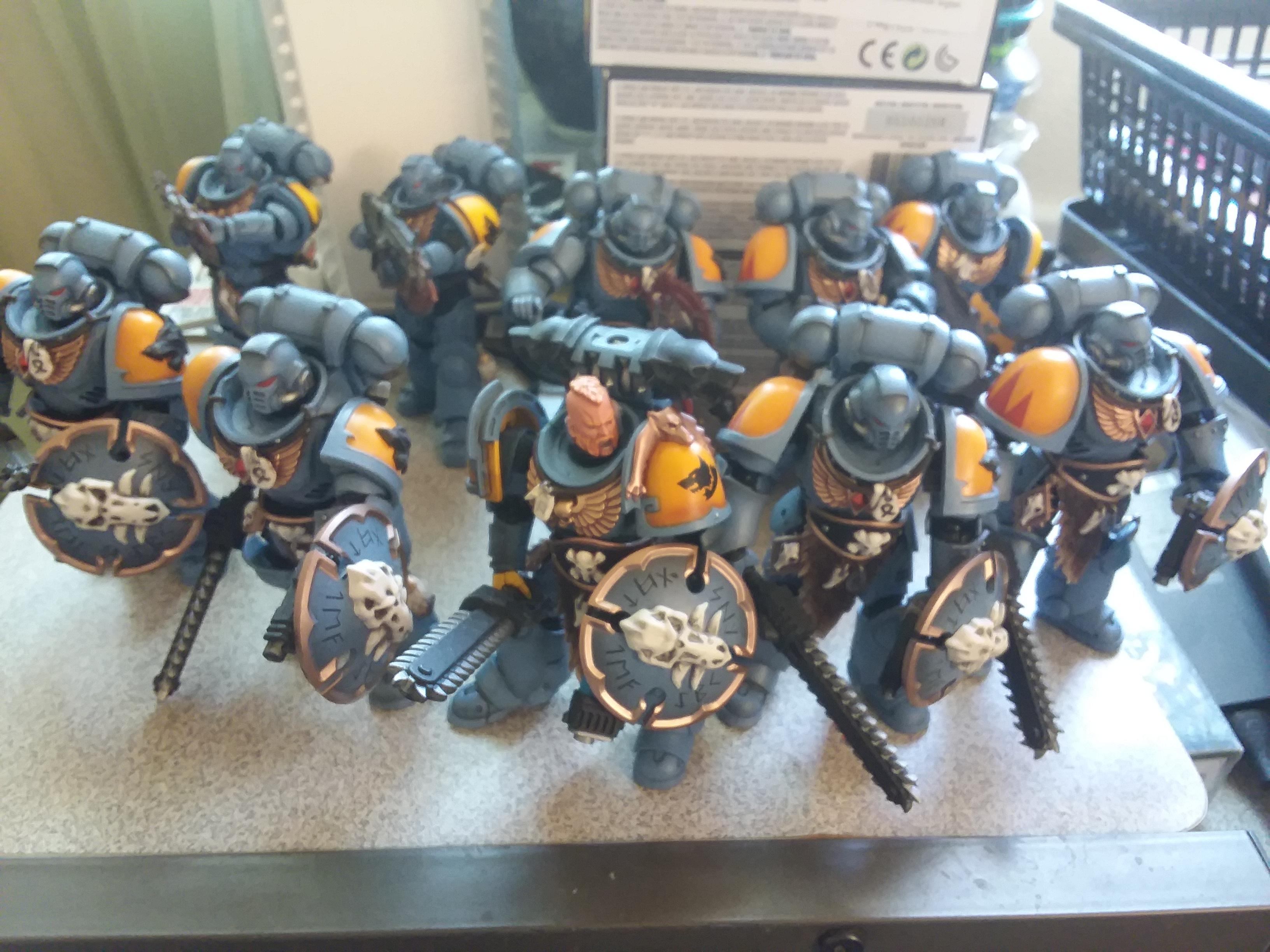 Space Marines, Space Wolves Blood fangs squad