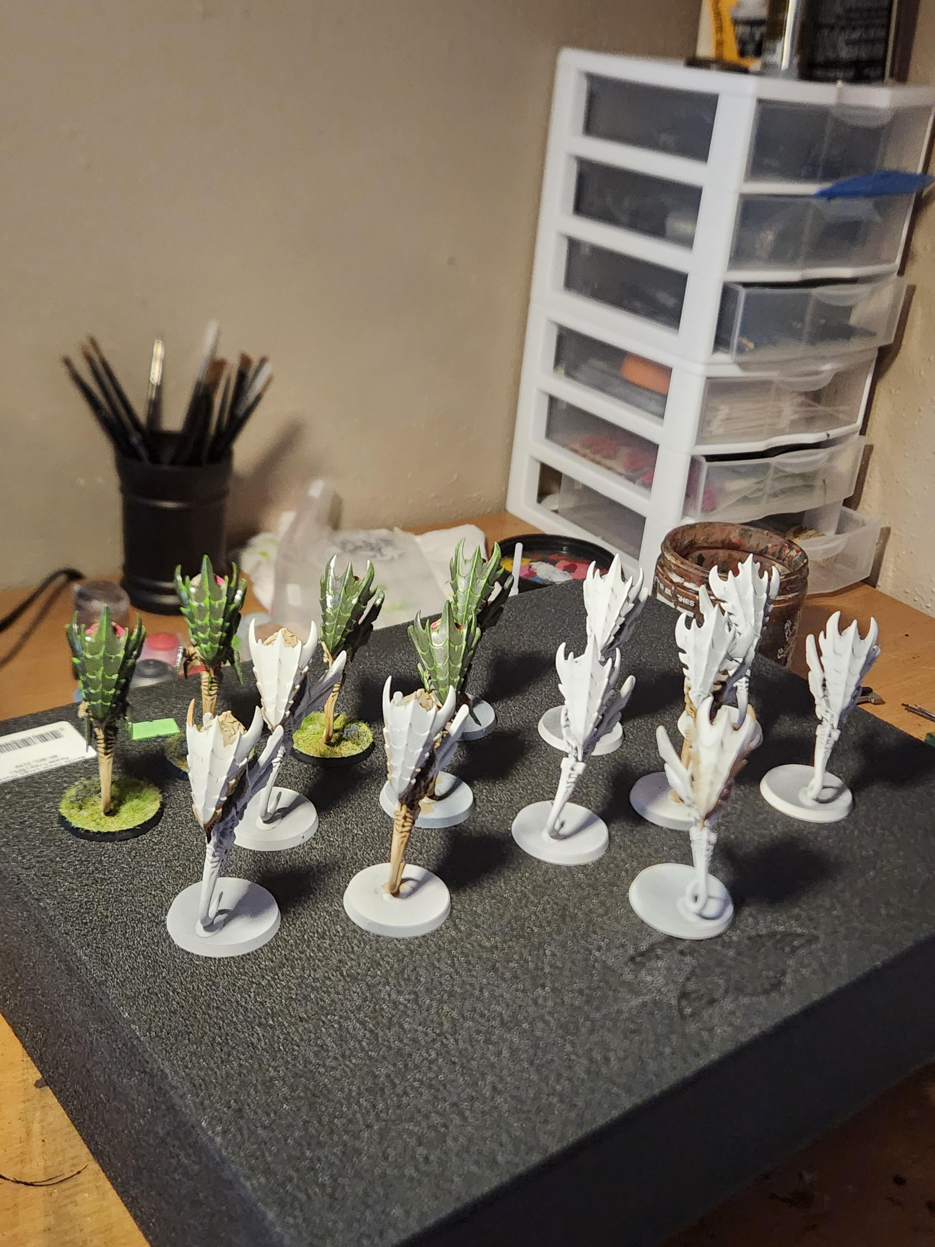 Zoanthrope, Zoanthropes